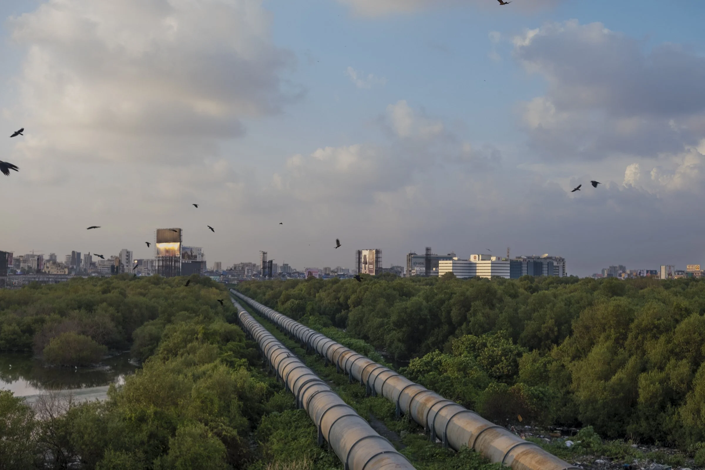 DSCF0993-Recovered copy.jpg