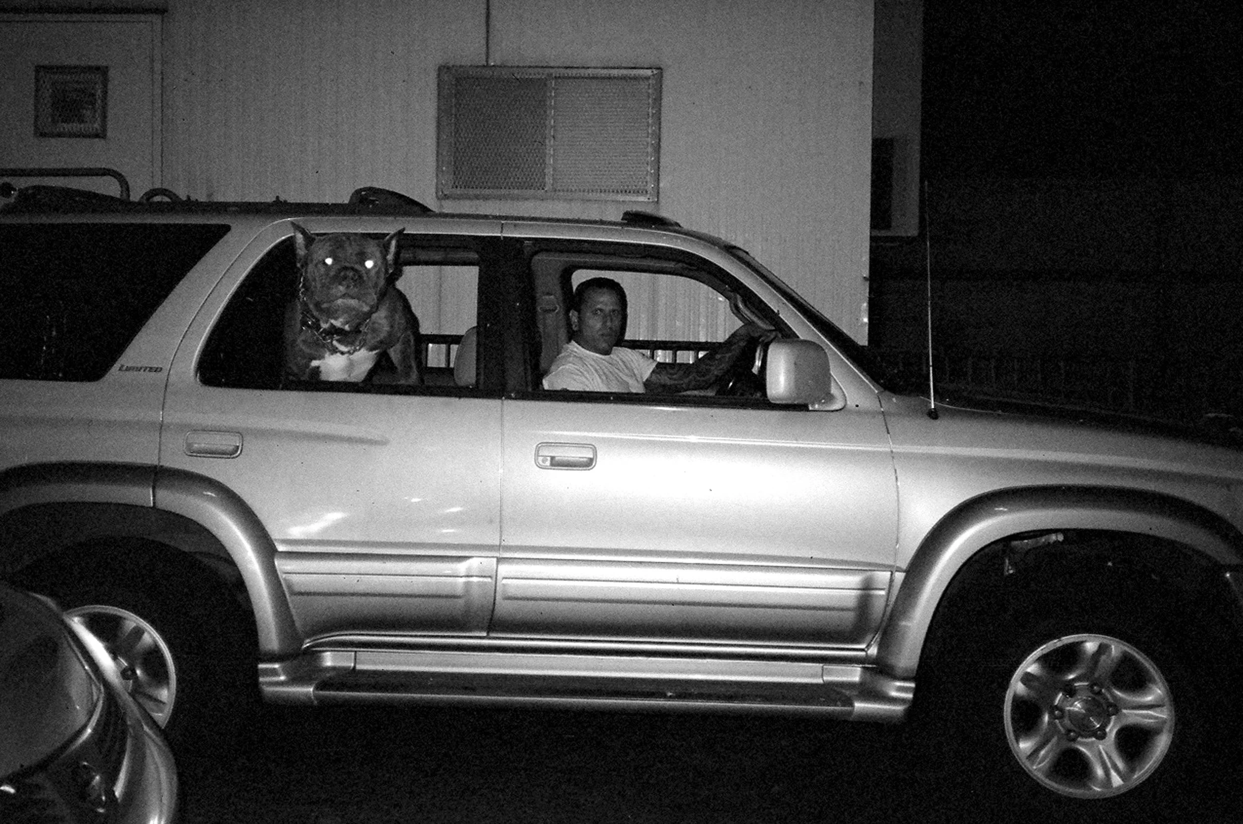 Hugedog_philly resize.jpg