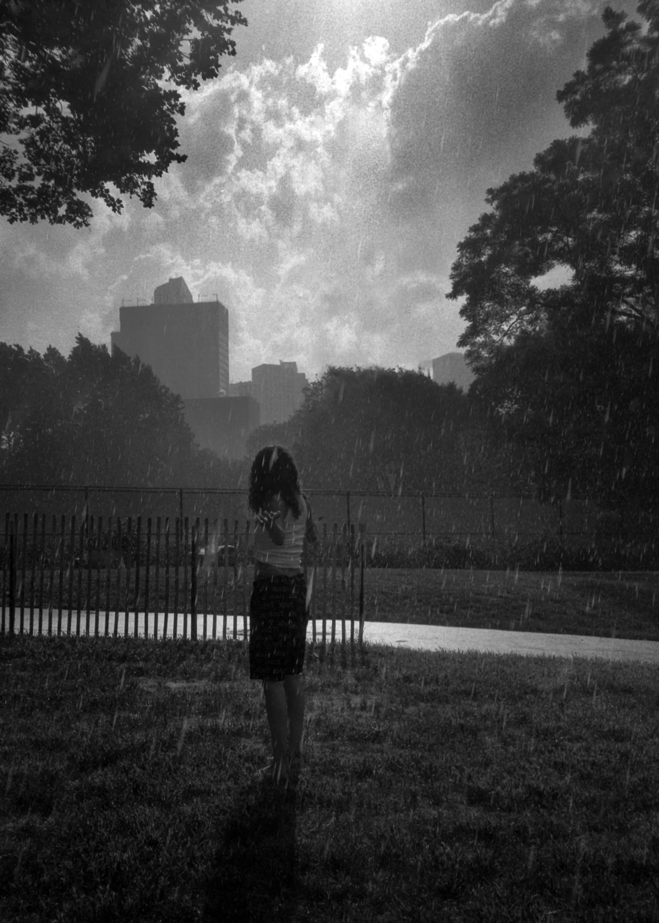 Fort Greene_Rain-48 x 24resize .jpg