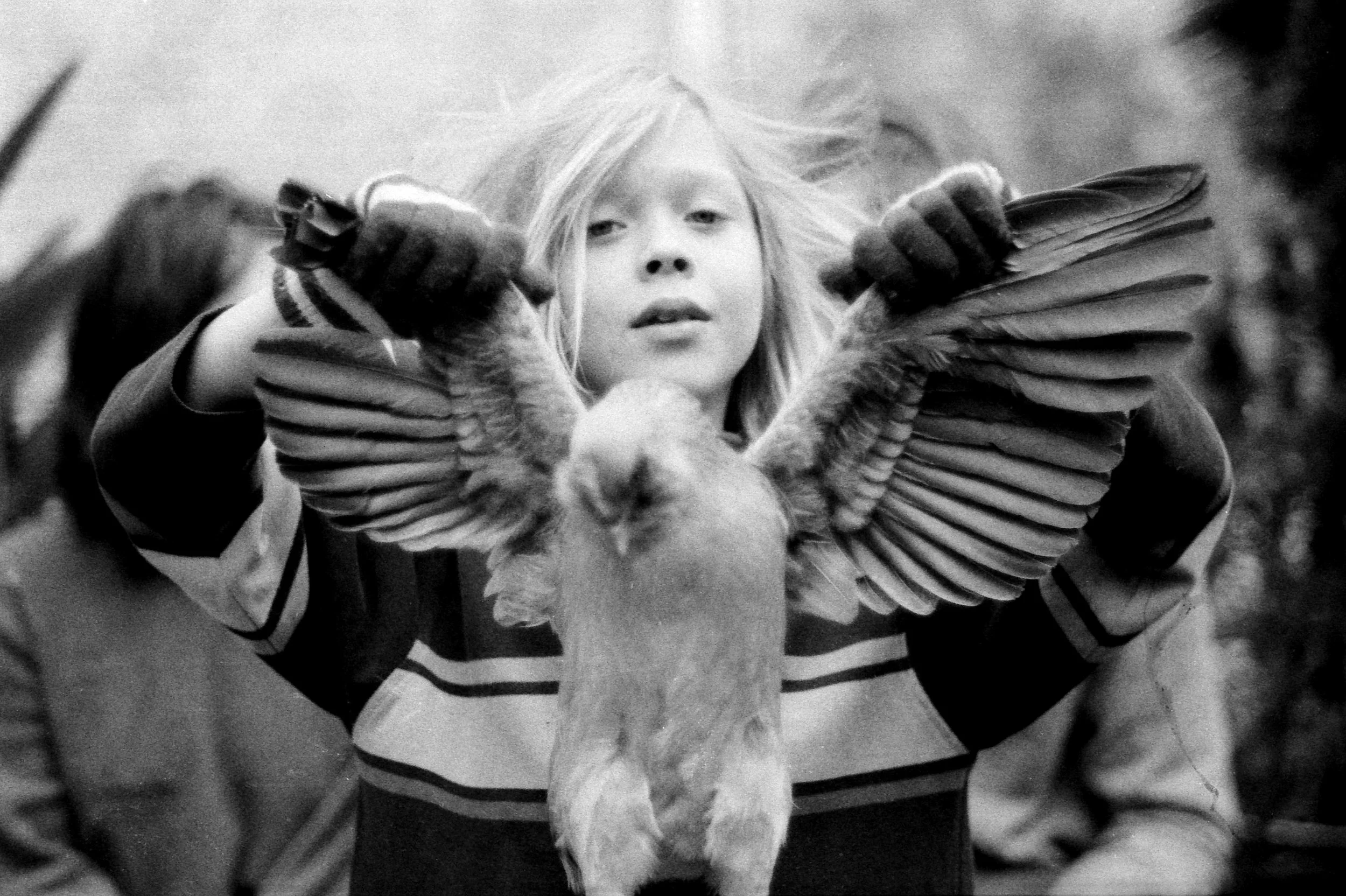 chicken NOLA resize.jpg