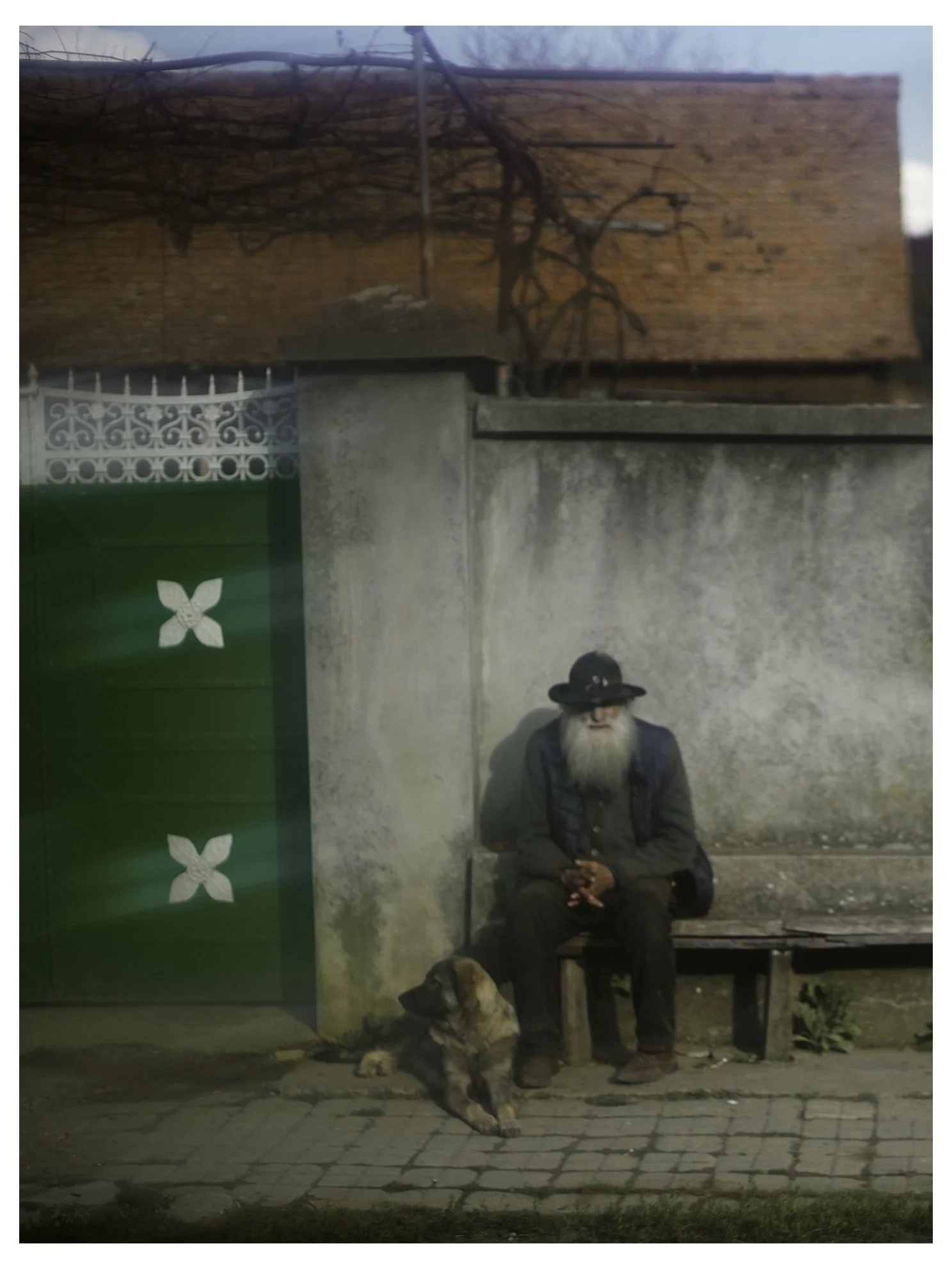 Romanian wizard .jpg