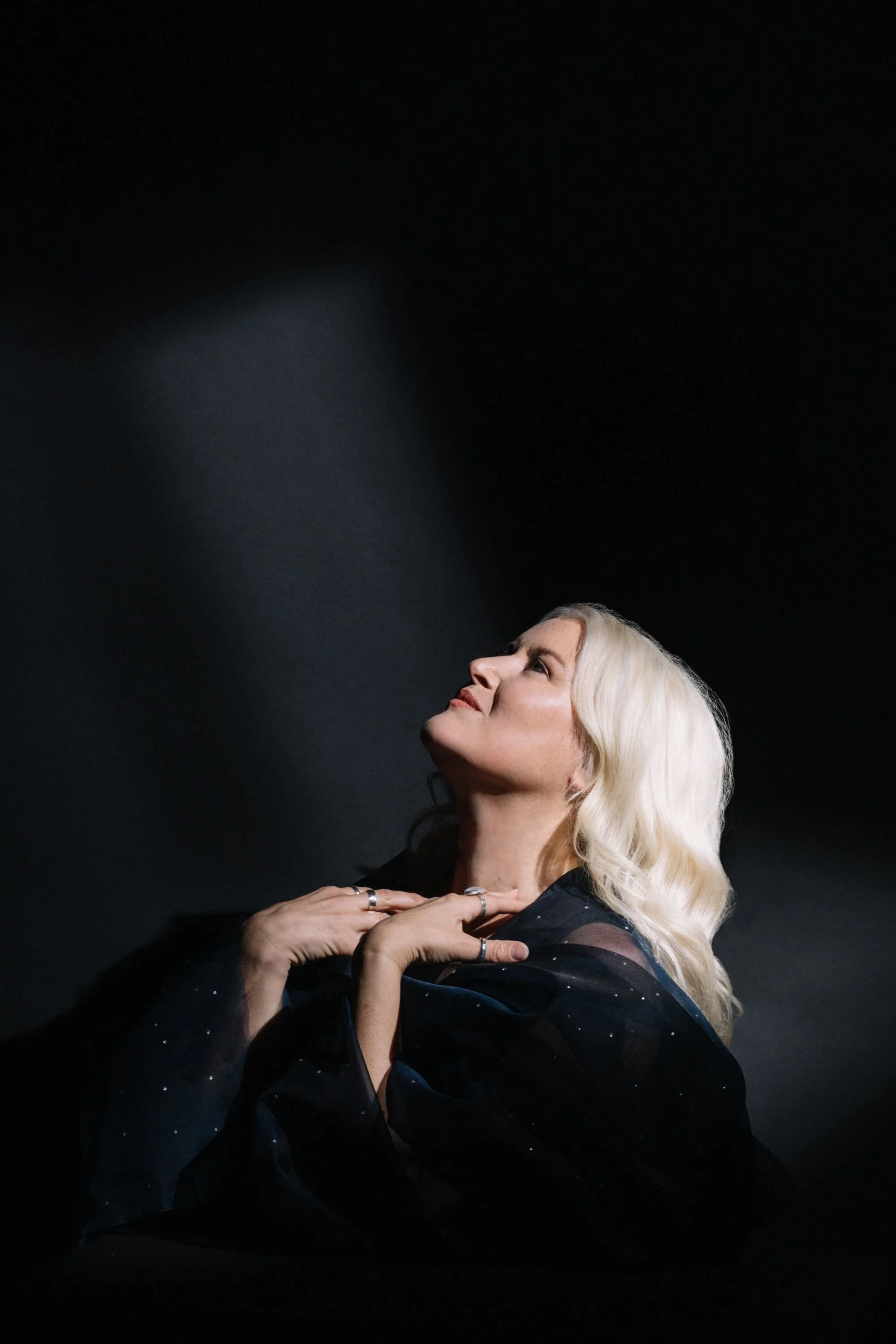 Spotlight Album Review: Paula Cole "American Quilt"