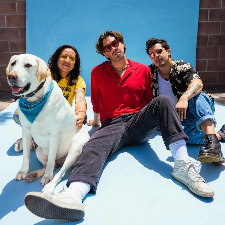 "Who is Zac Barnett (of American Authors)?"