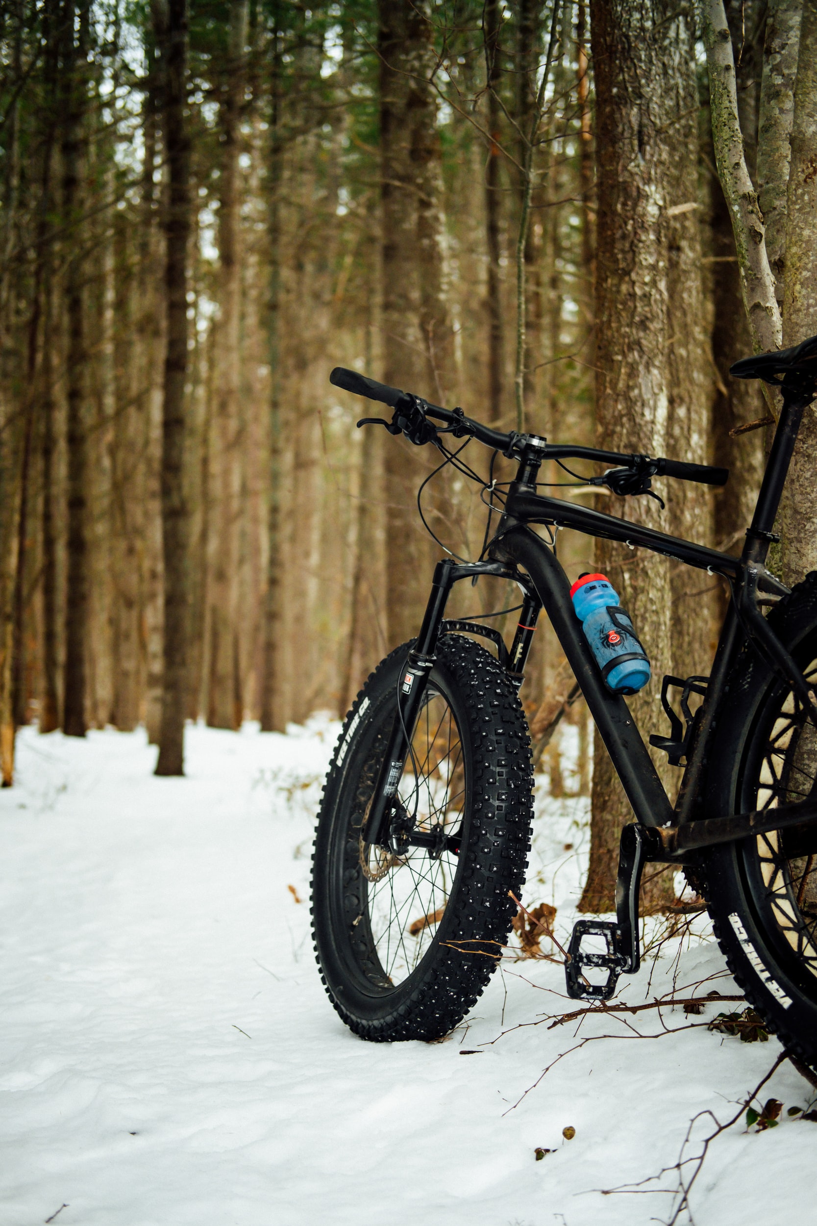 Fat Bike 101: Winter Riding To Beat Cabin Fever