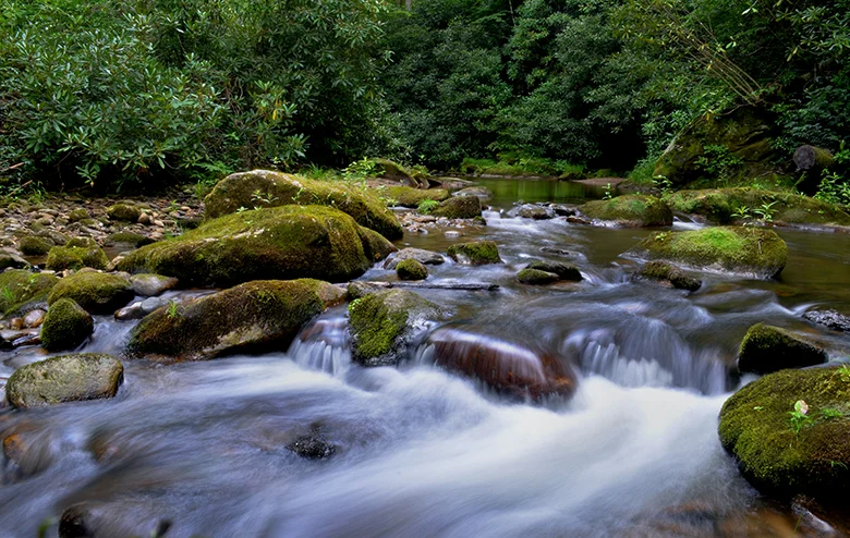 Jared Waterfall 1.jpg