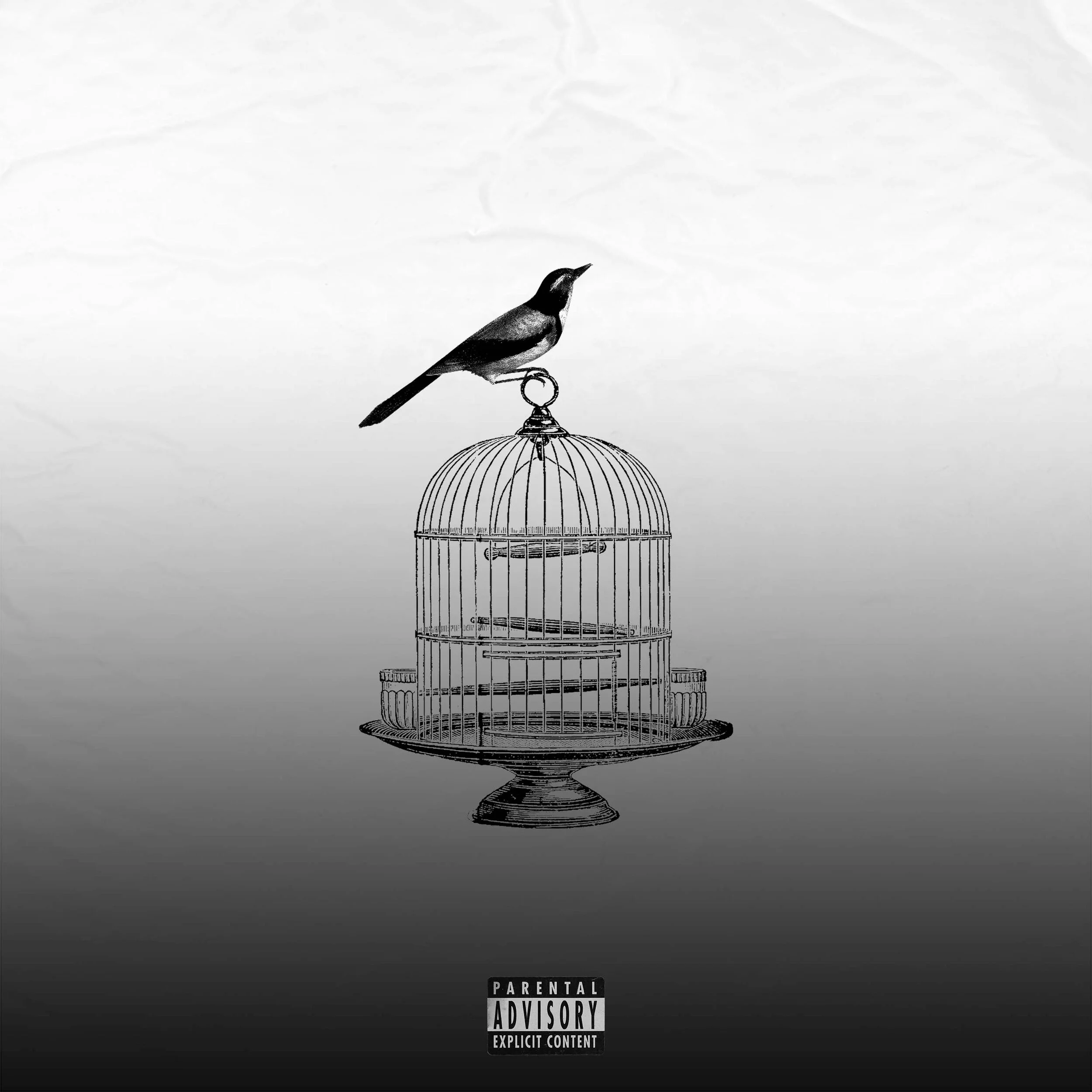 Lock in during lockdown with “the lockdown EP”