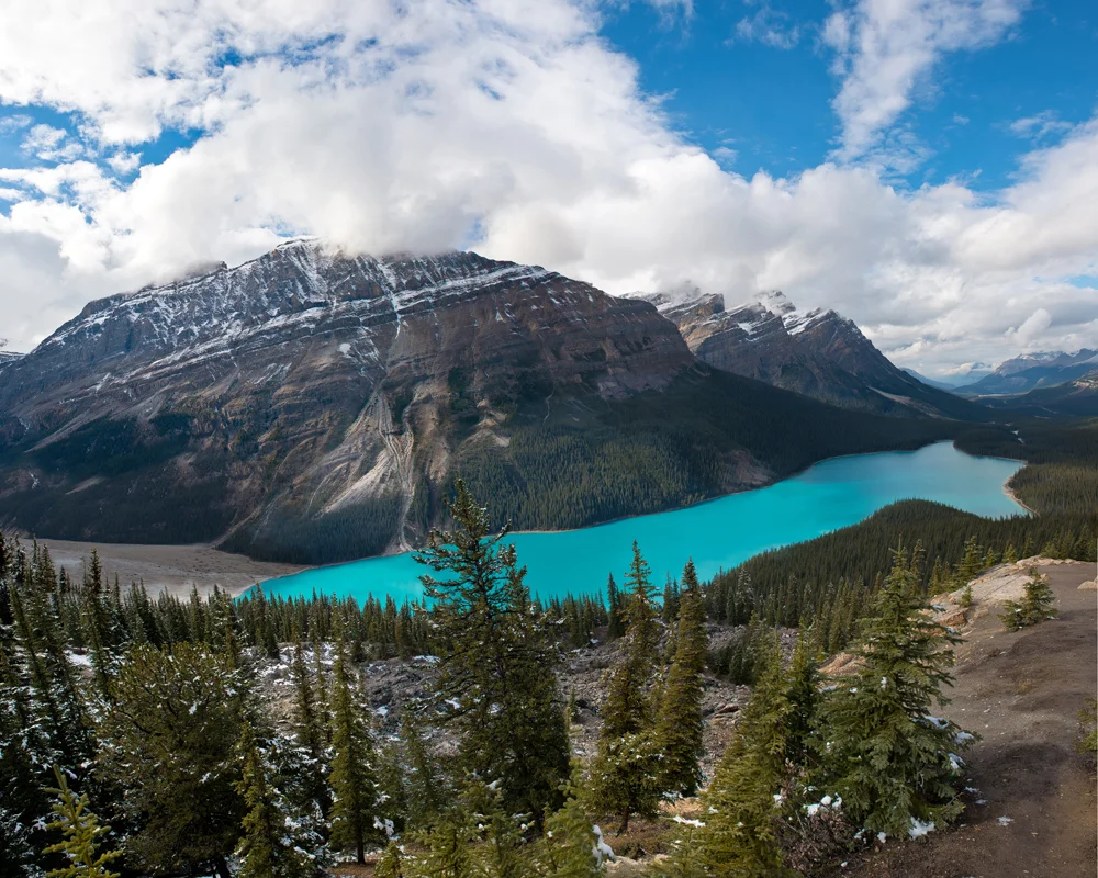 peyto lake copy66.jpg