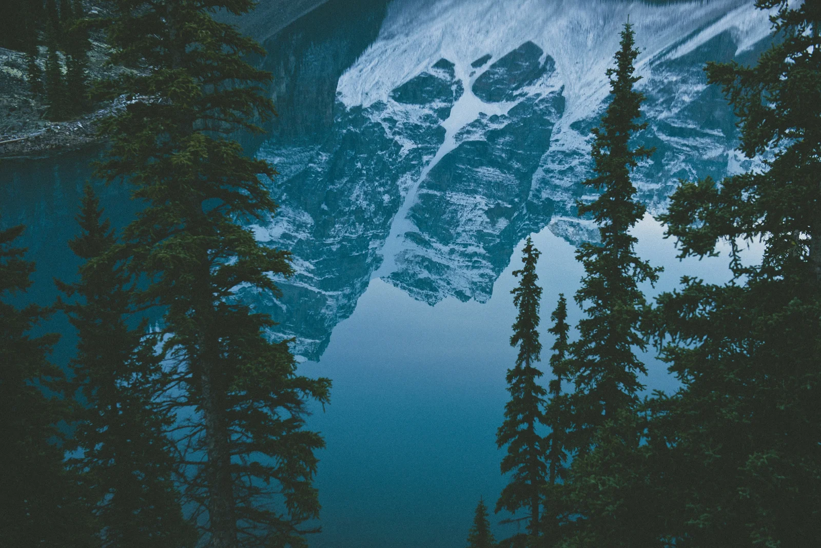 reflection copy1a.JPG