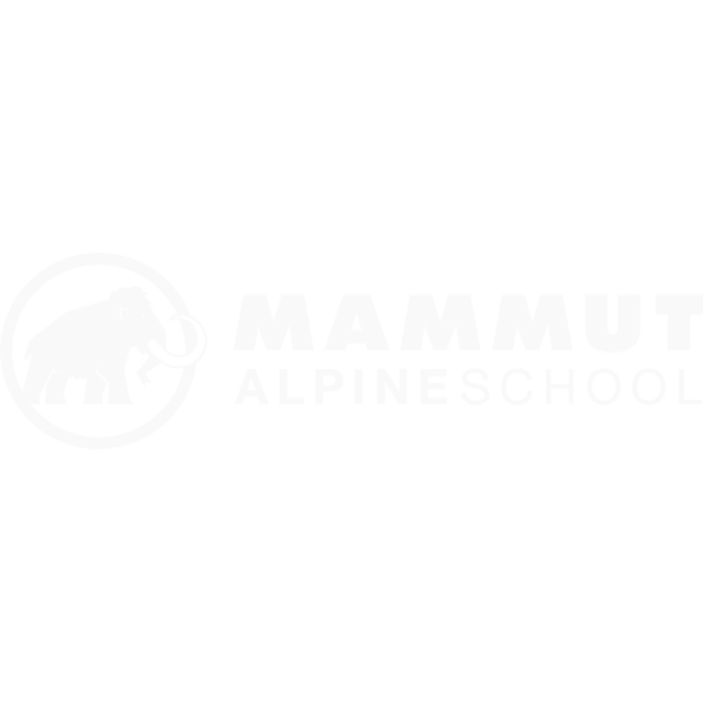 01_mas_logo_white.png