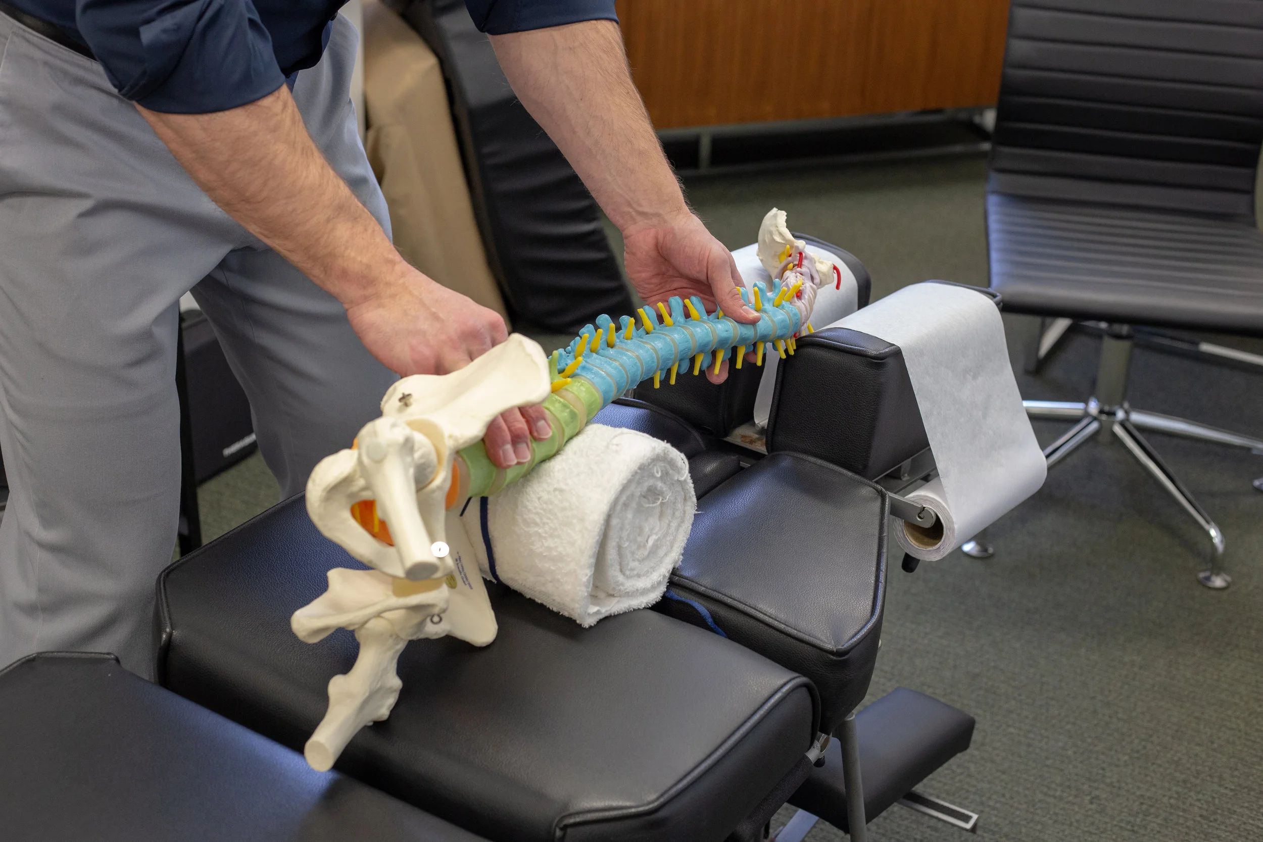 Dr Duke Spine
