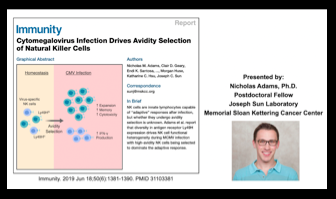 Cytomegalovirus Infection Drives Avidity Selection of Natural Killer Cells.
