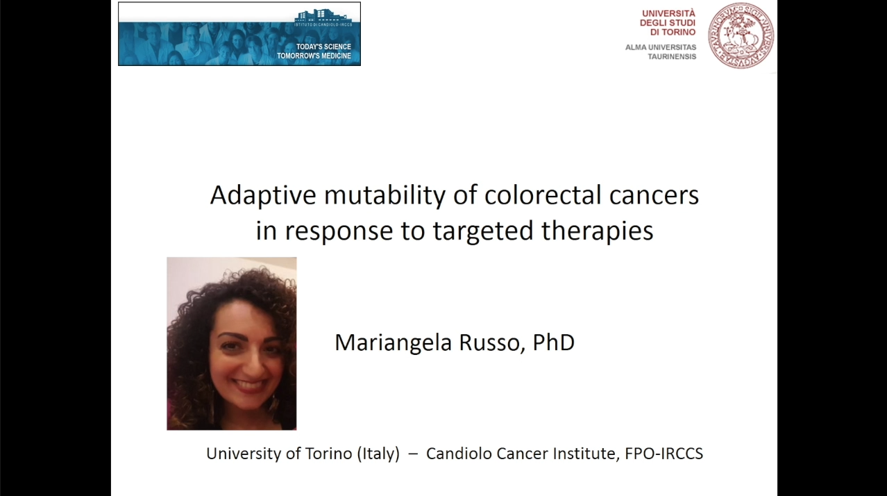 Adaptive mutability of colorectal cancers in response to targeted therapies.