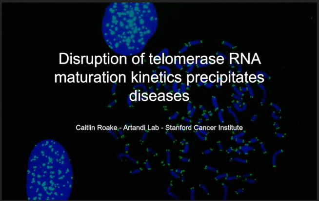 Disruption of Telomerase RNA Maturation Kinetics Precipitates Disease