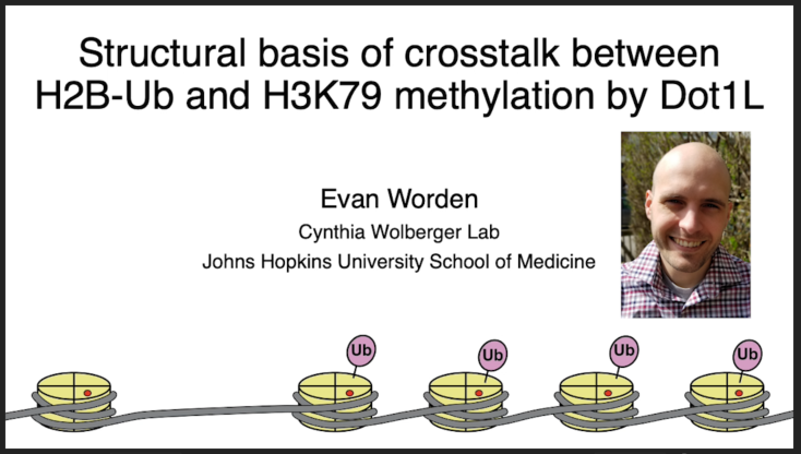 Mechanism of Cross-talk between H2B Ubiquitination and H3 Methylation by Dot1L