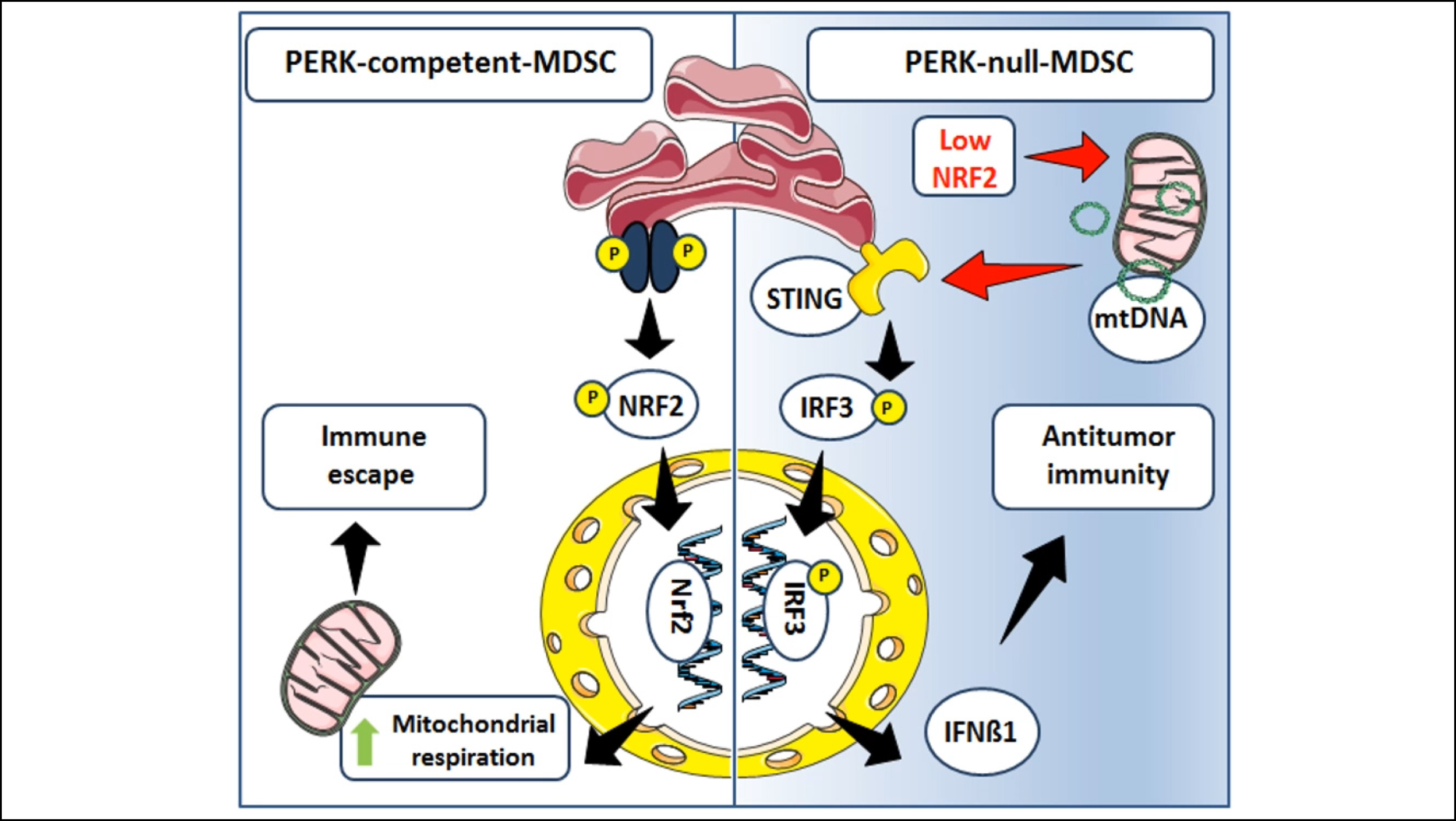 Monday, July 20, 2020 