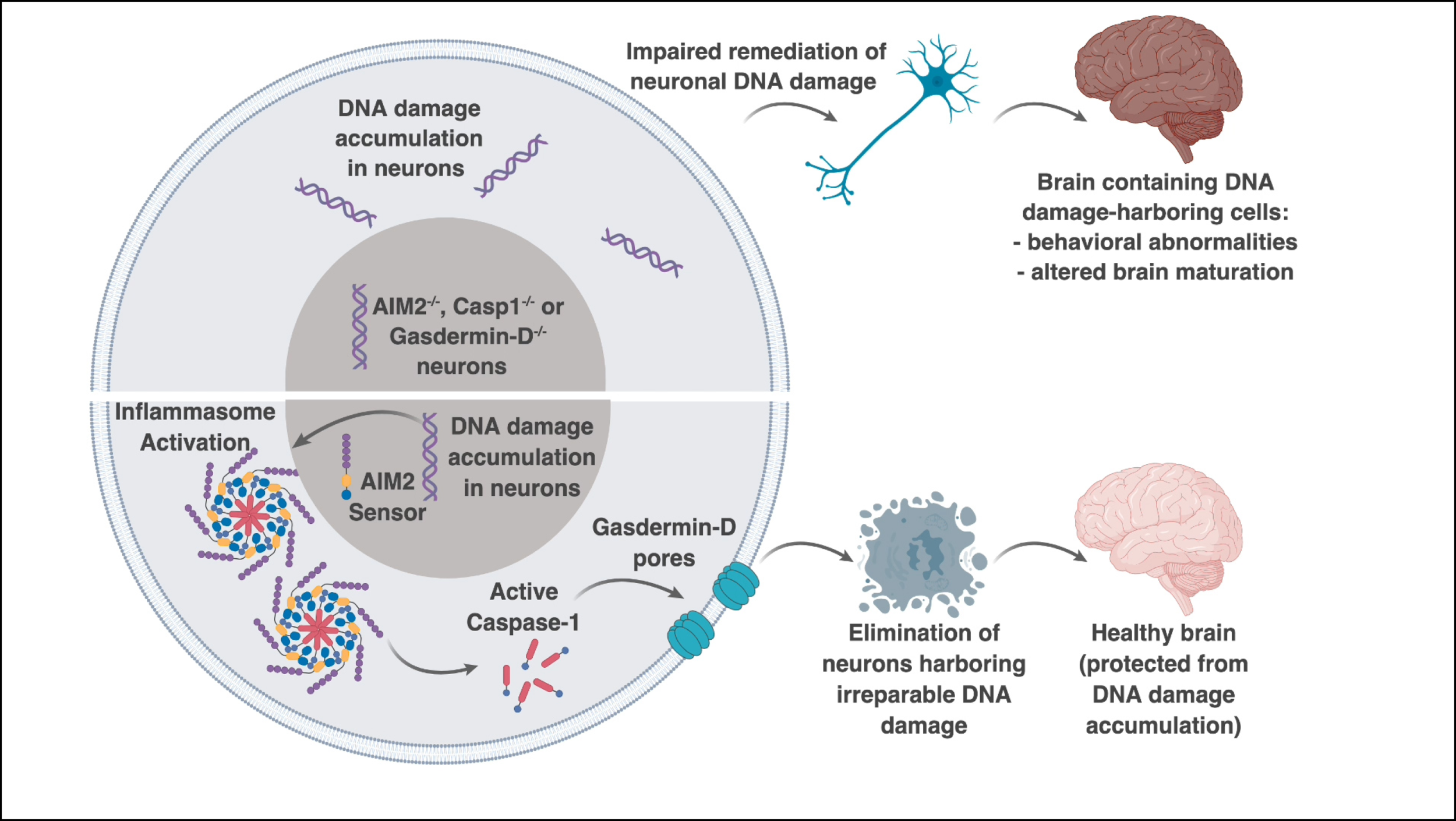Wednesday, July 22, 2020