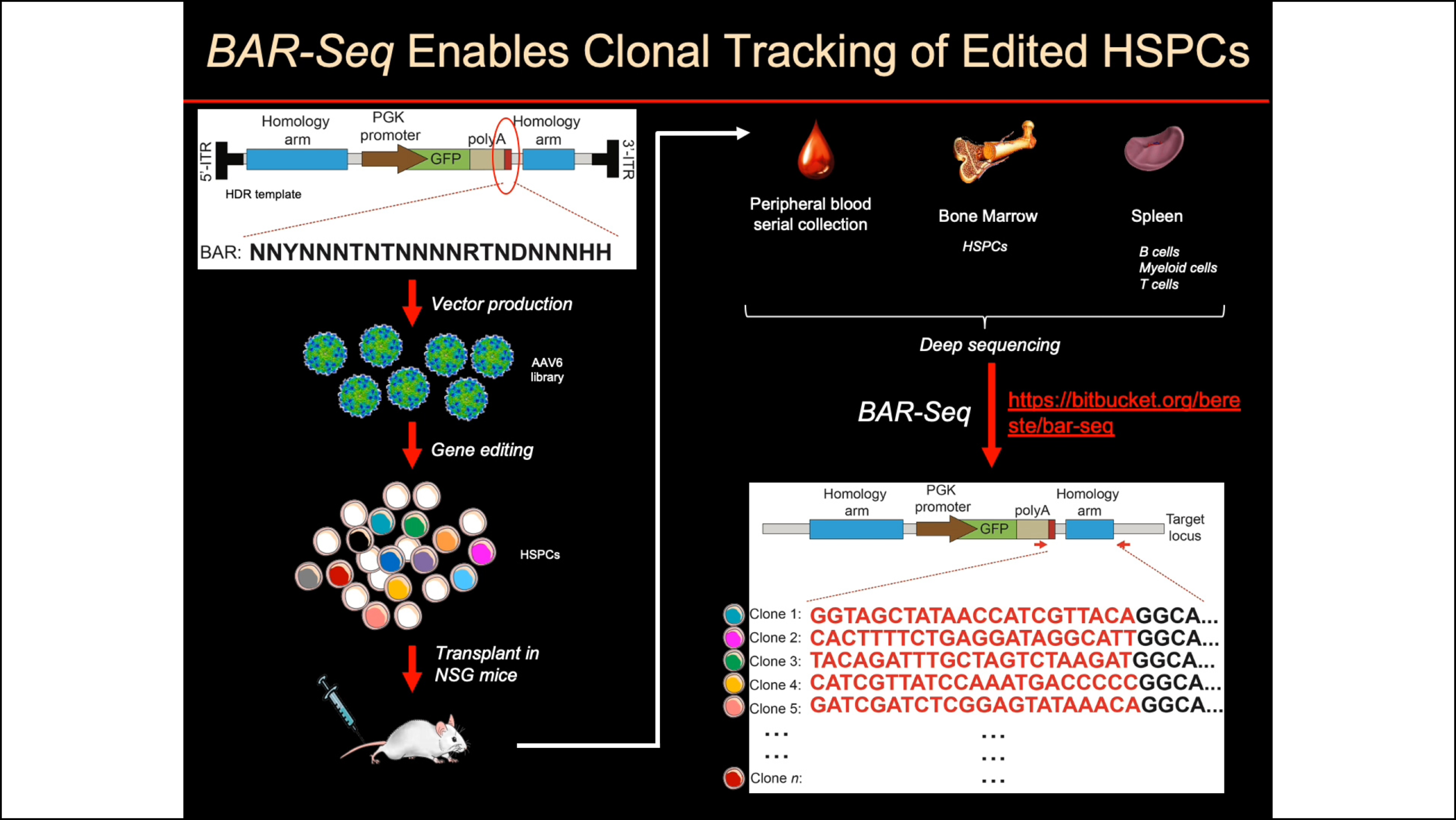 Thursday, July 23, 2020