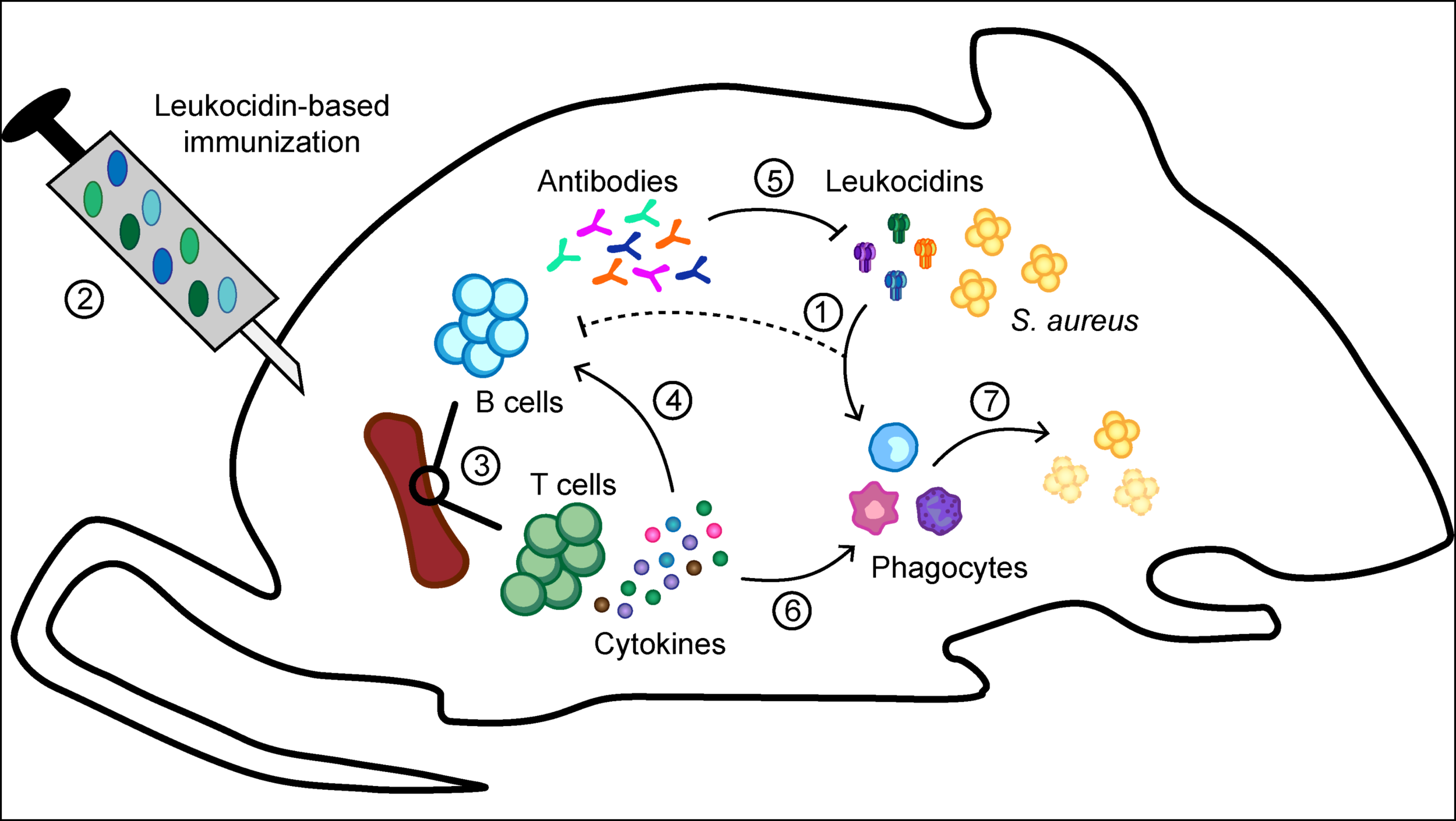 Saturday, August 1, 2020