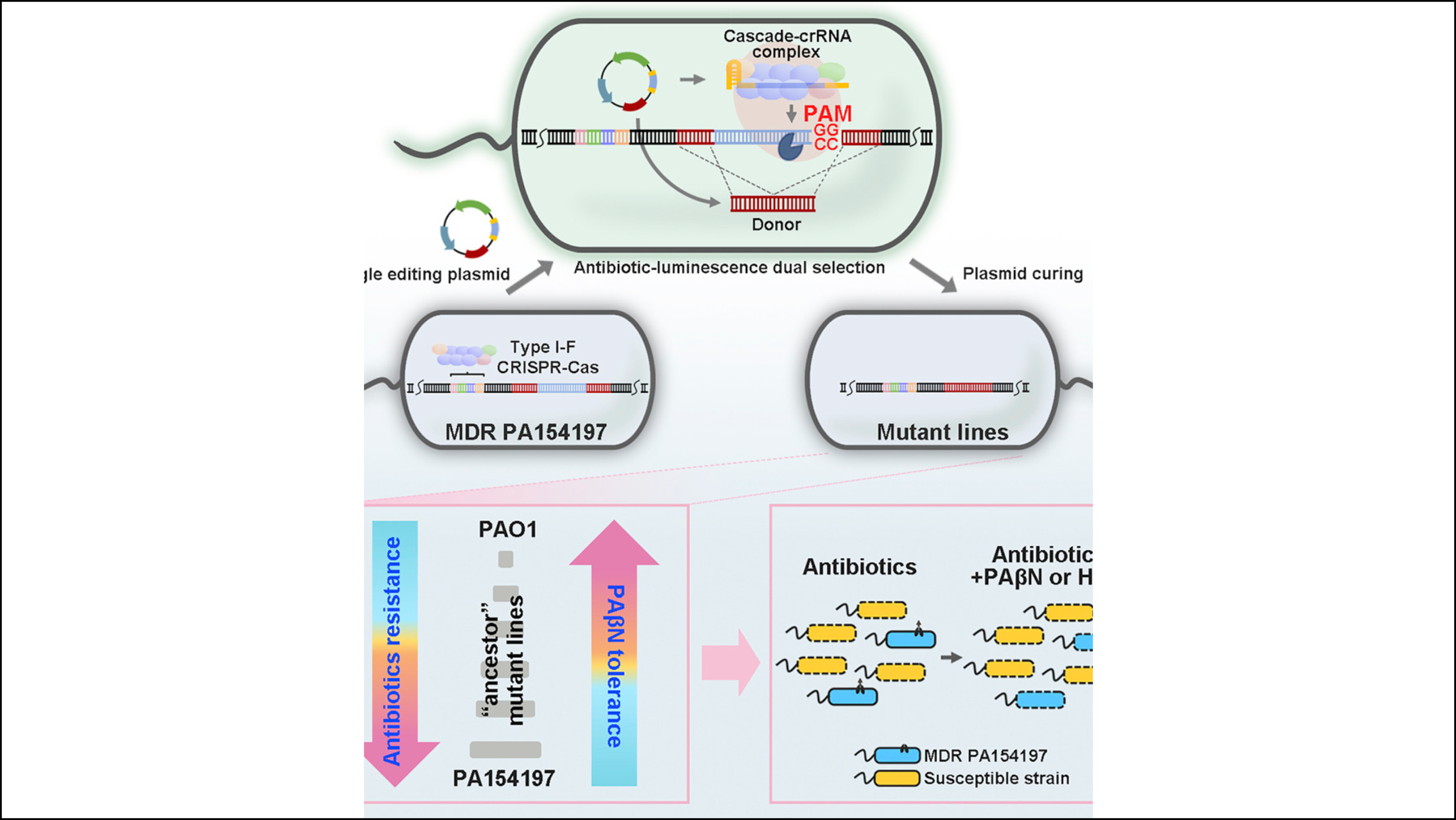 Thursday, July 30, 2020