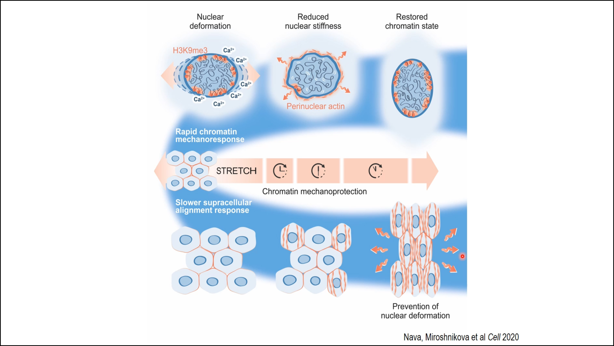 Monday, July 27, 2020