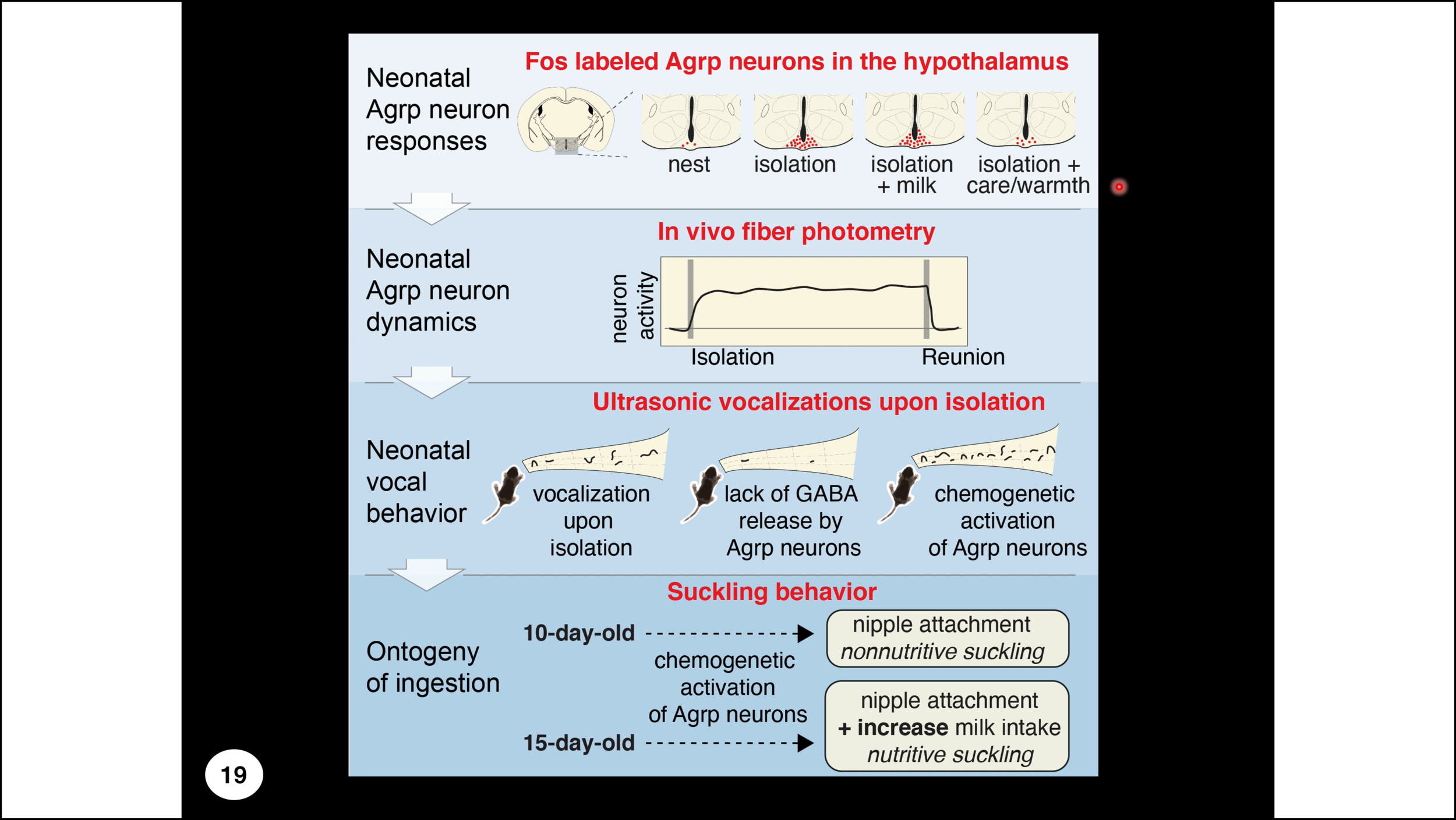 Monday, August 3, 2020