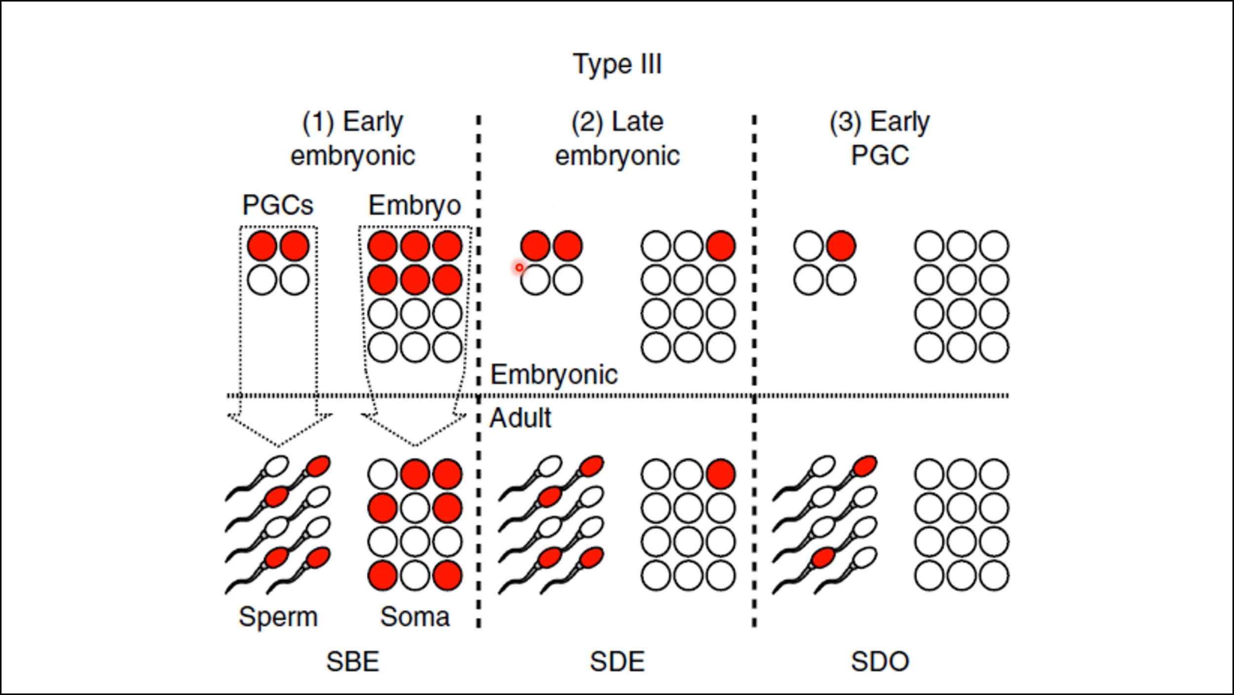 Thursday, August 6, 2020