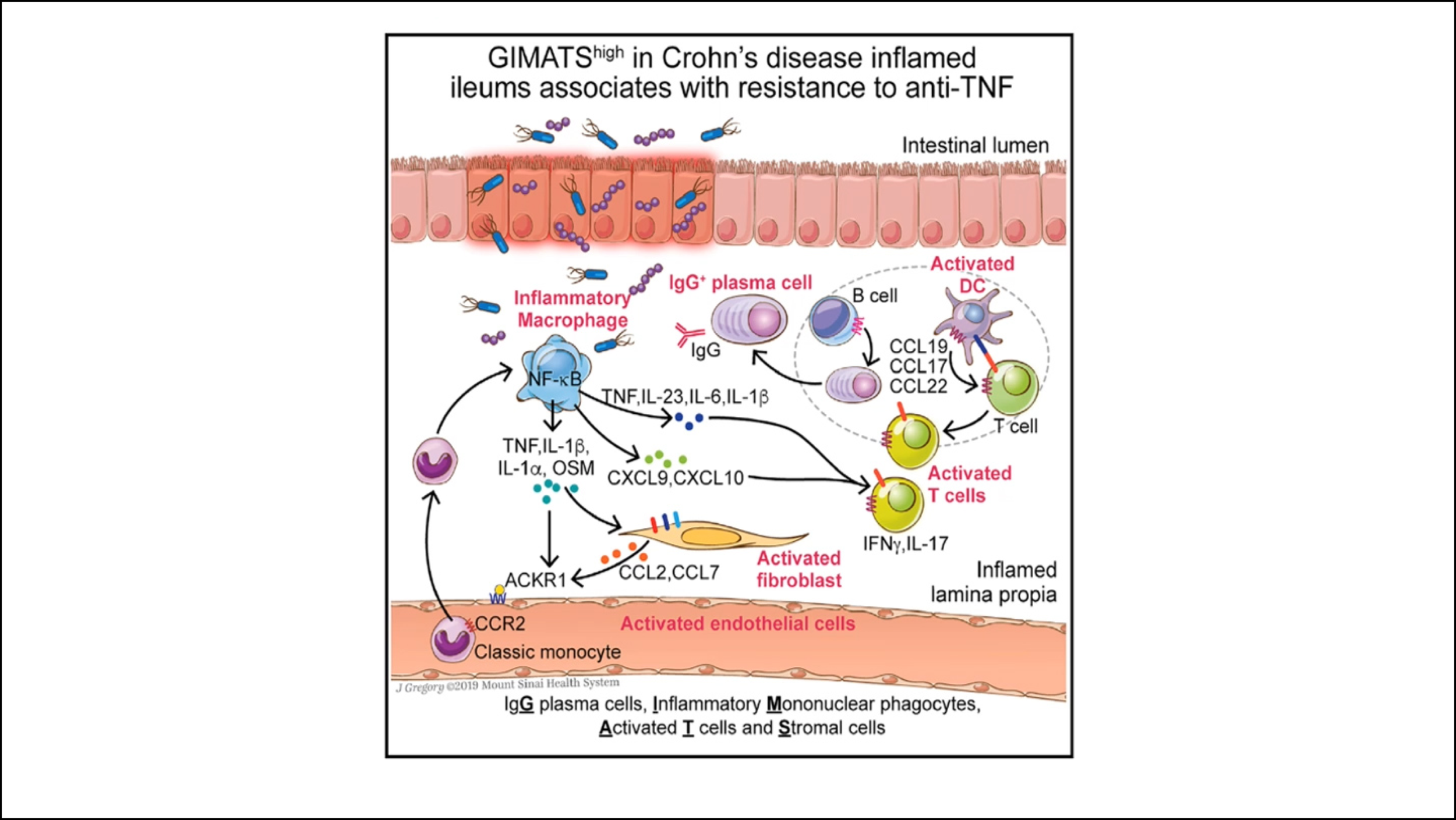 Saturday, August 8, 2020 