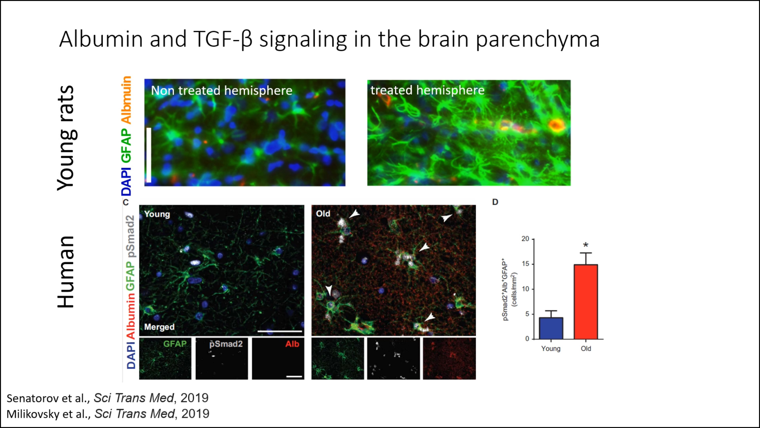 Monday, August 17, 2020