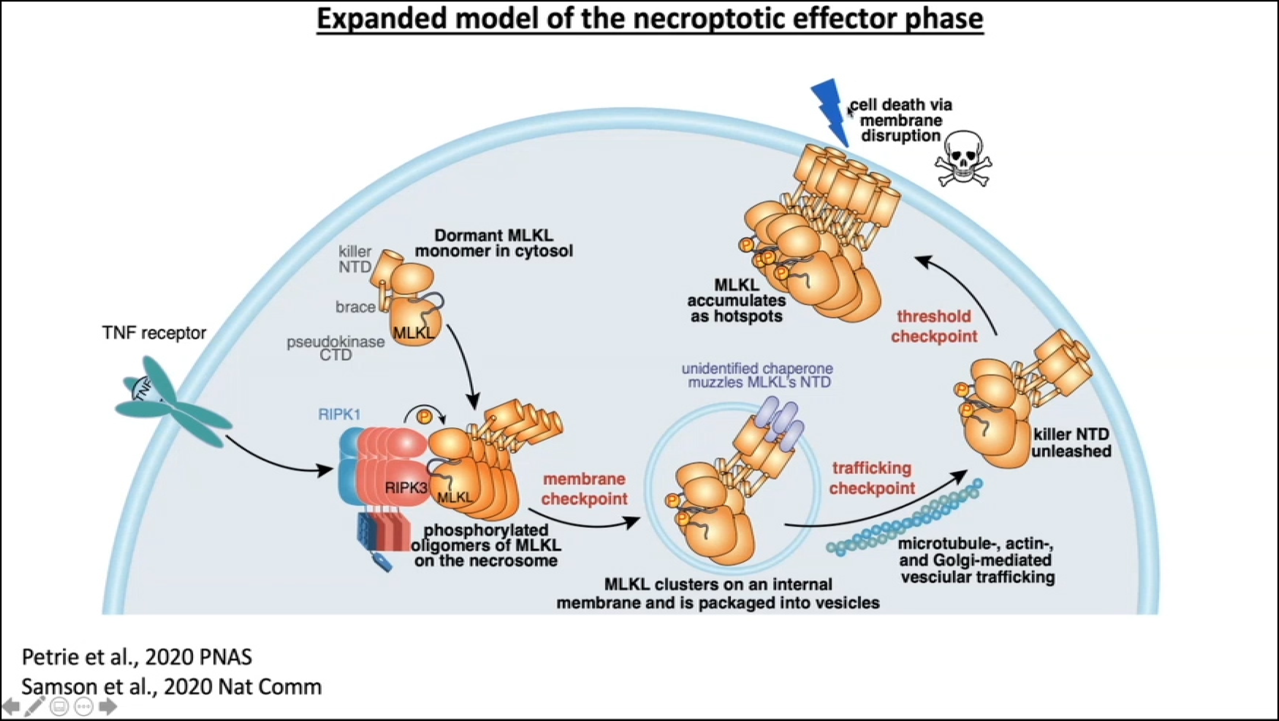 Wednesday, August 19, 2020