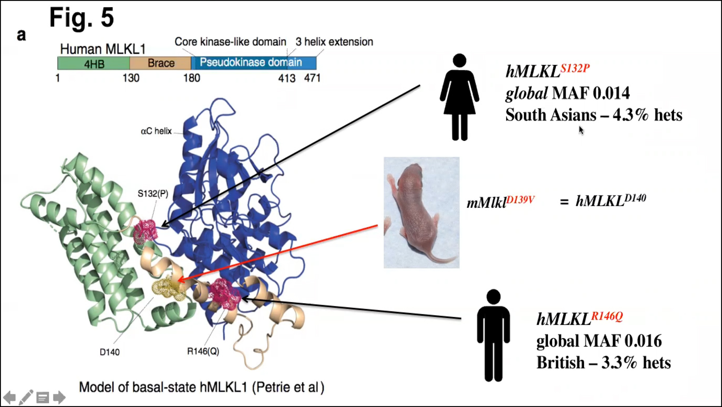 Thursday, August 20, 2020