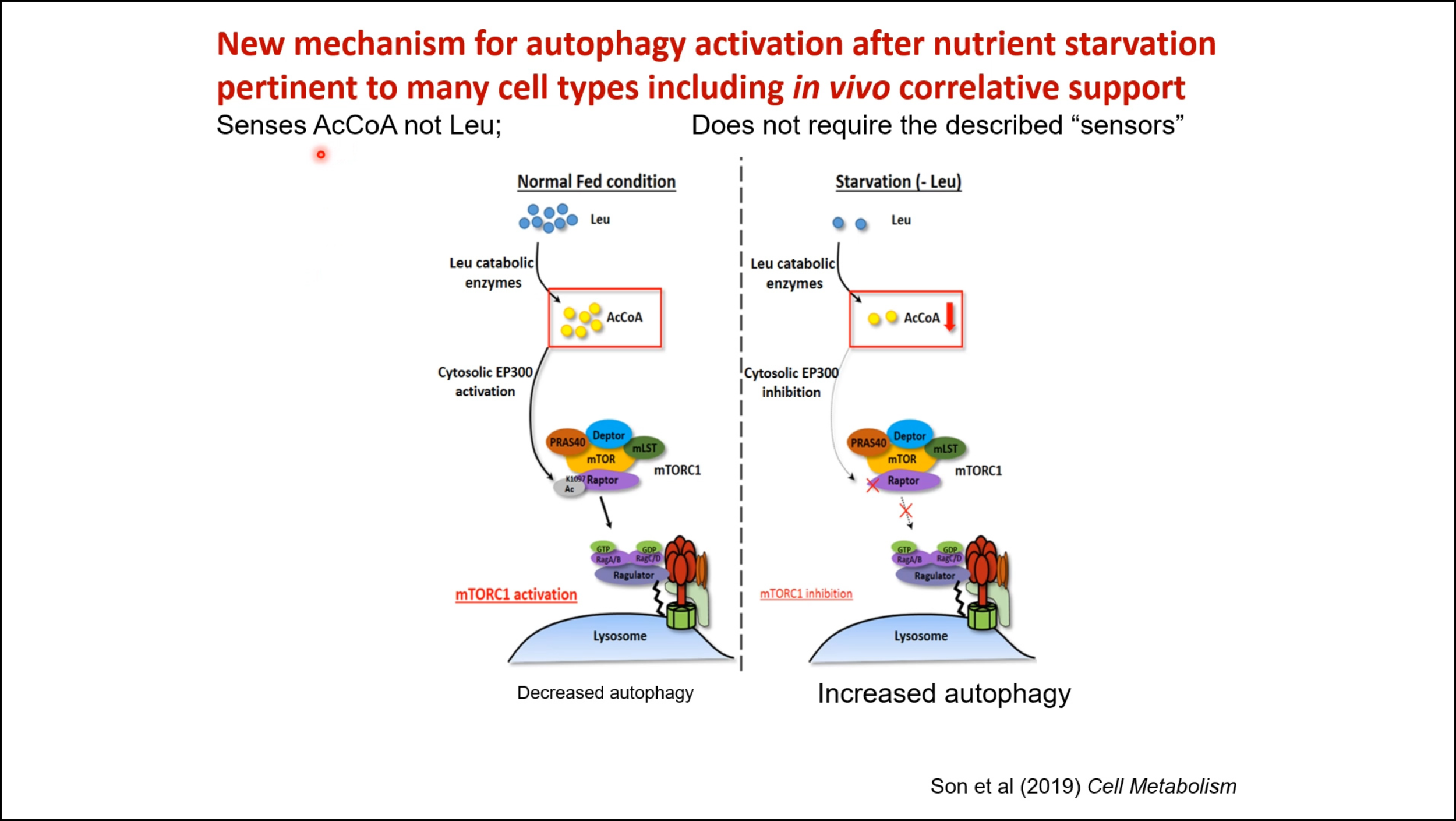 Monday, August 24, 2020