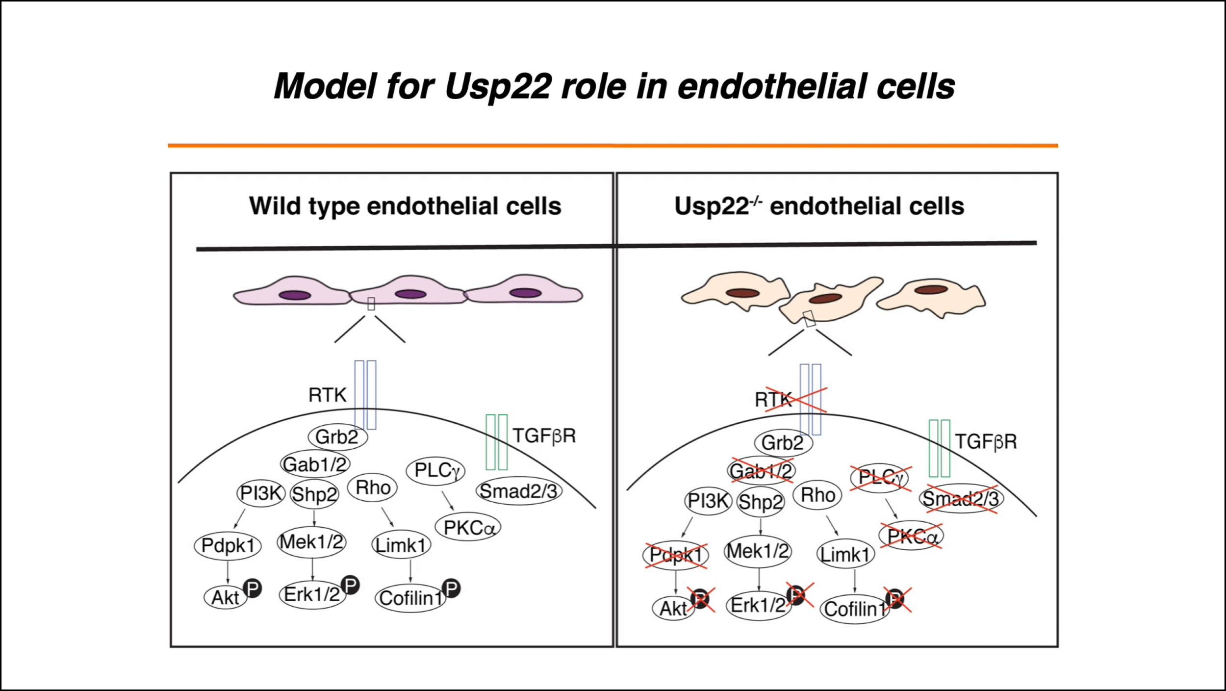 Thursday, August 27, 2020 