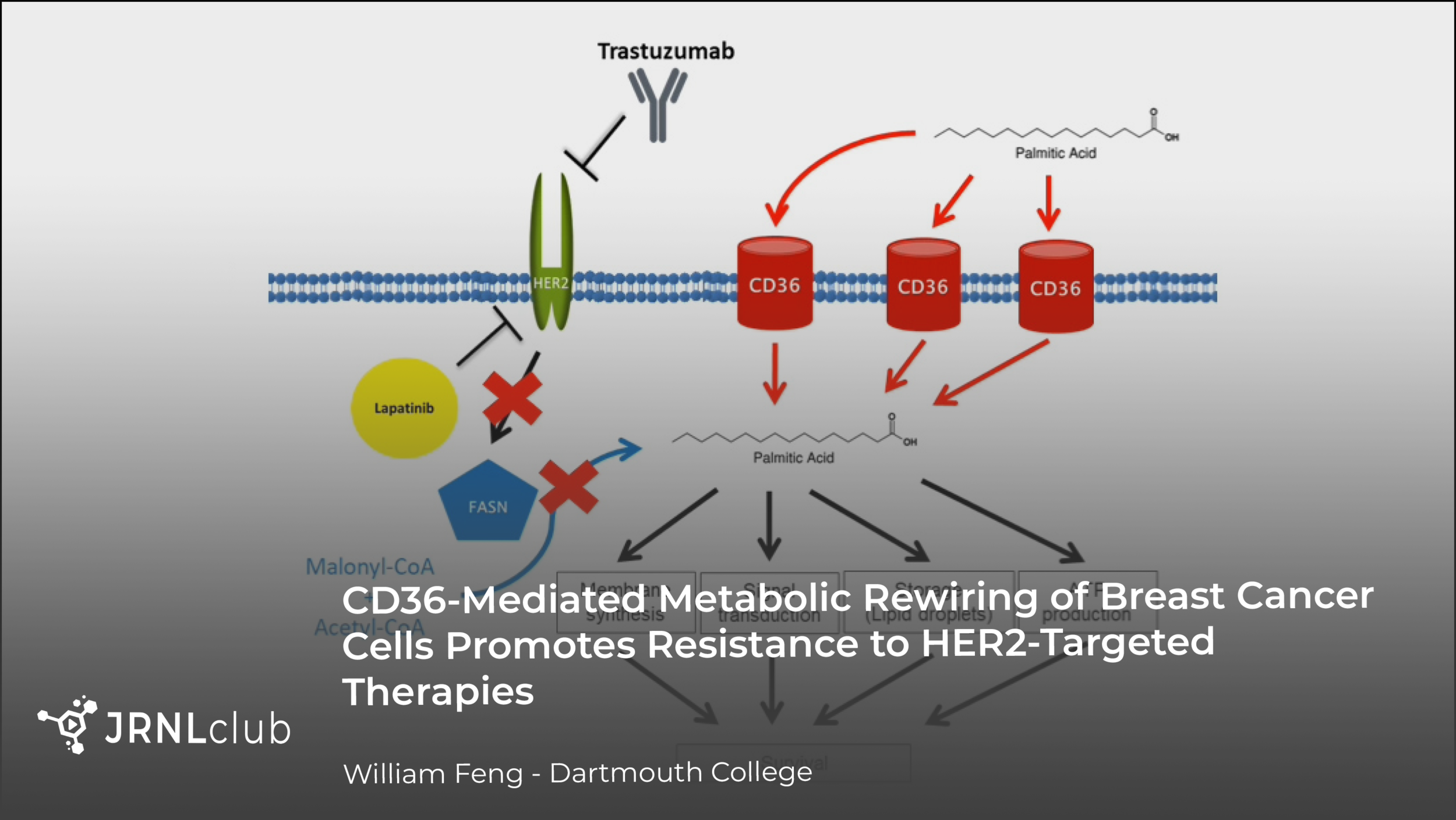 Tuesday, September 8, 2020