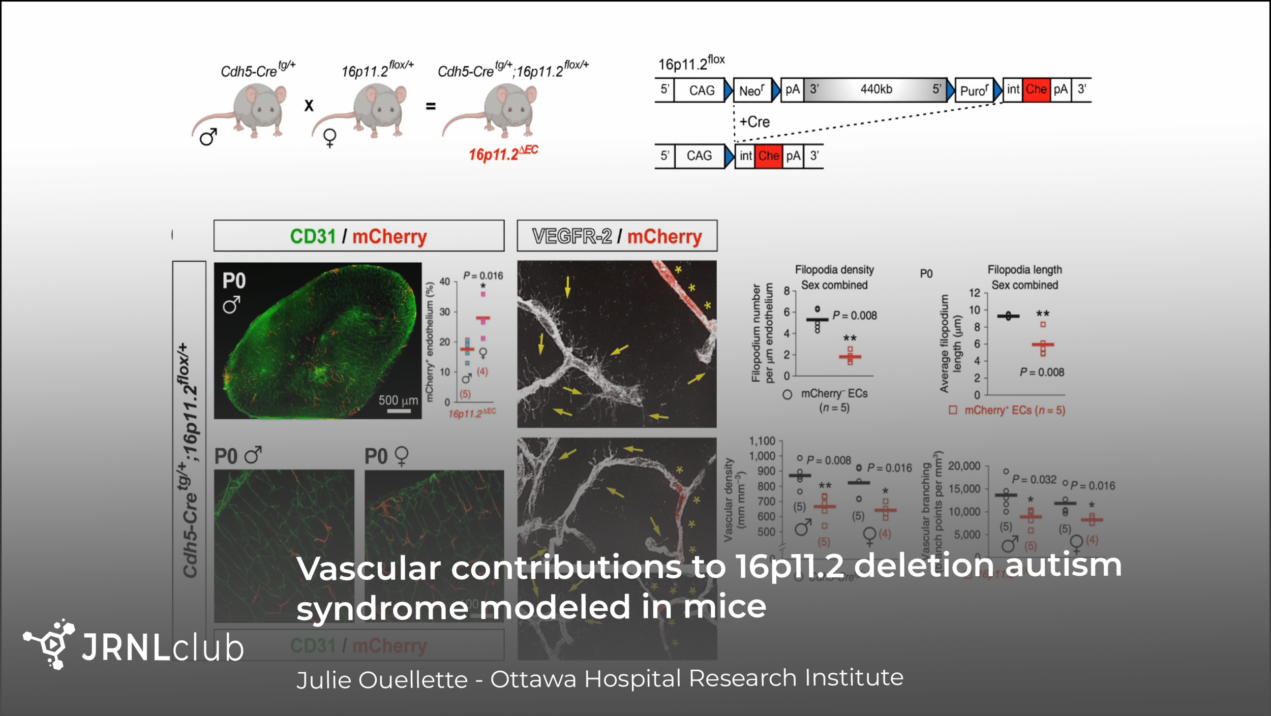 Monday, September 21, 2020