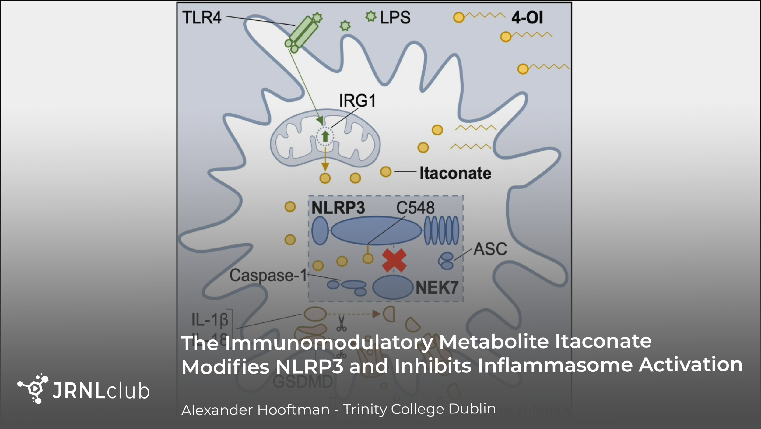 Monday, September 28, 2020 
