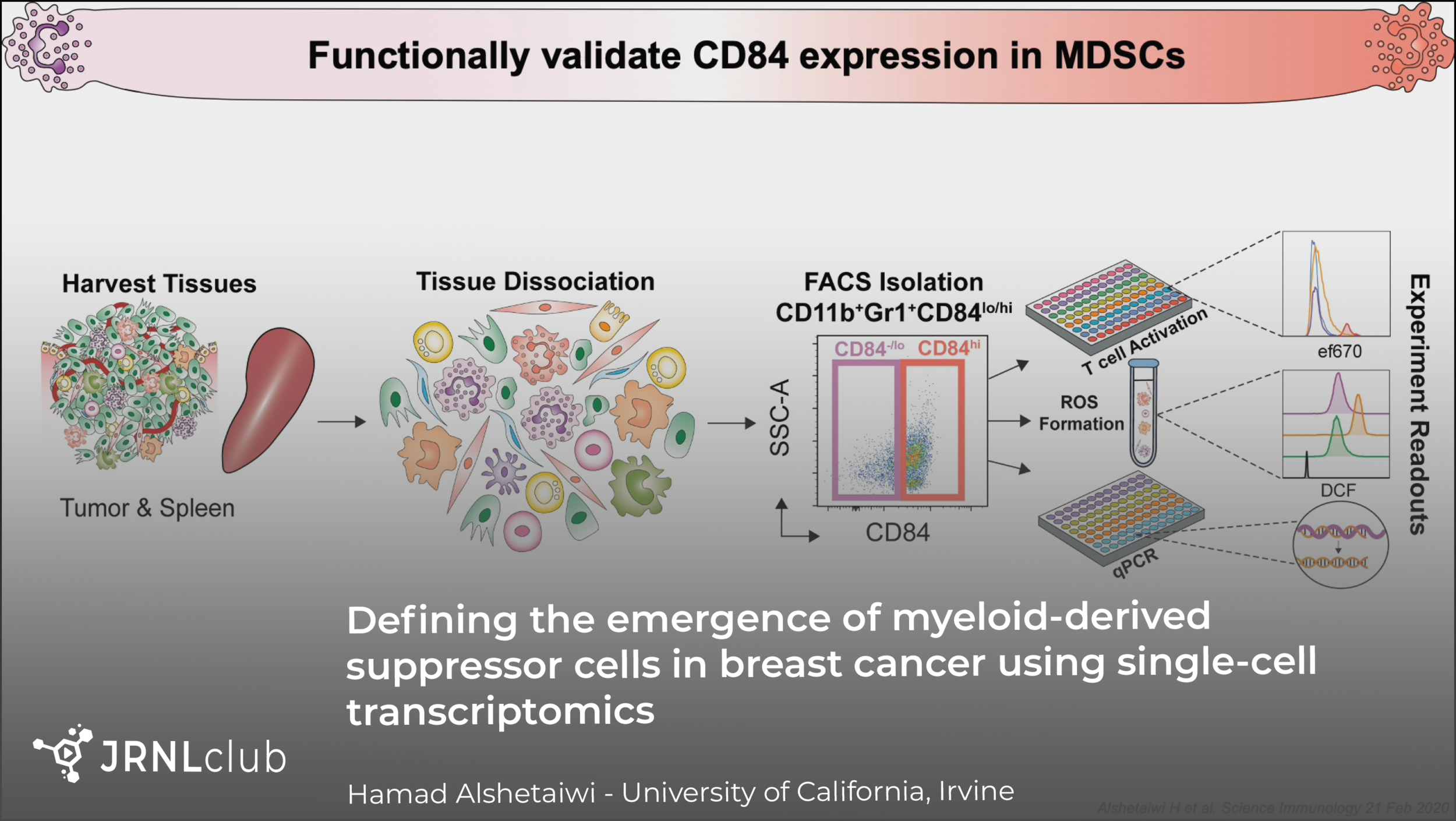 Monday, October 12, 2020