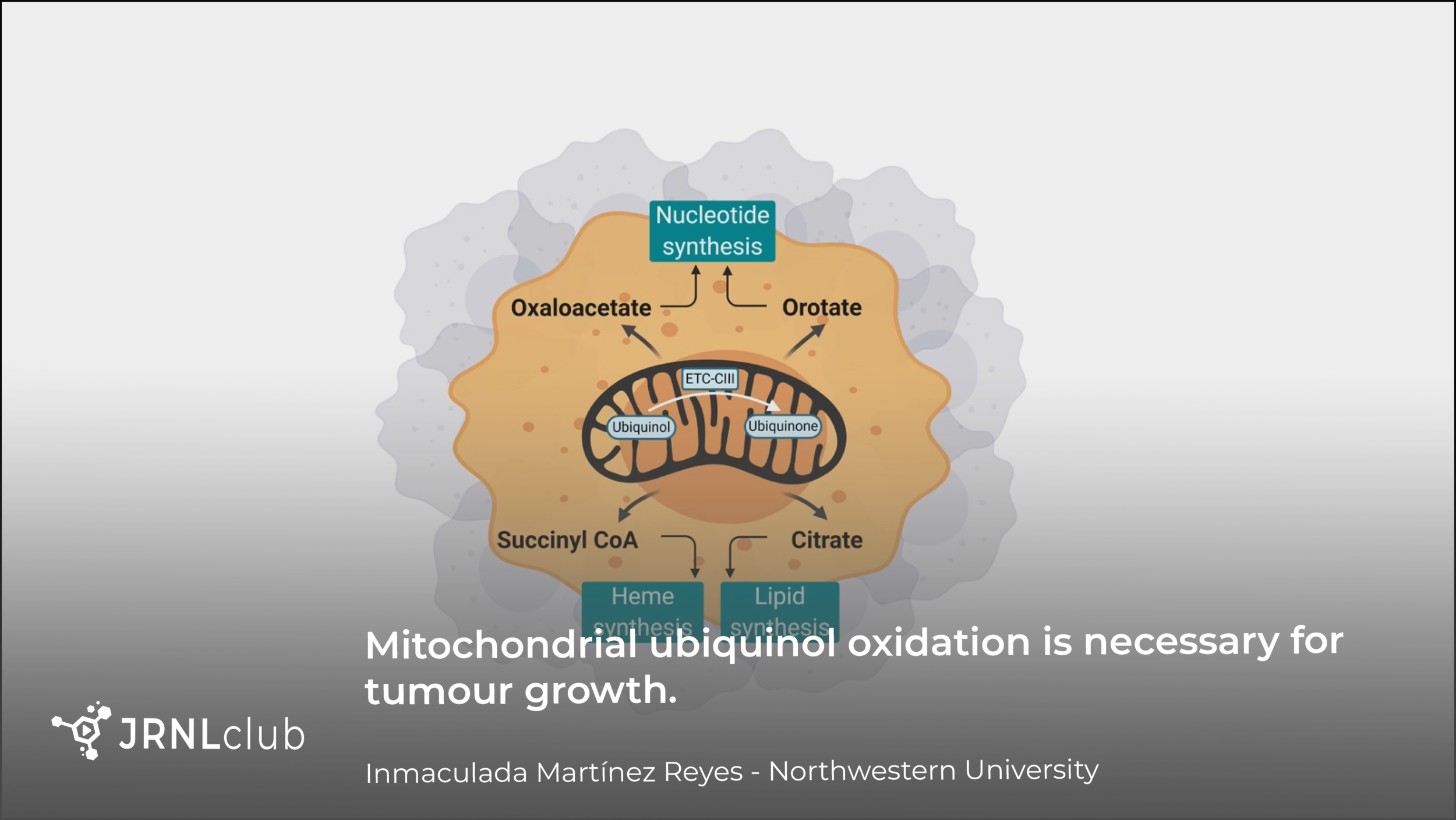 Monday, October 19, 2020