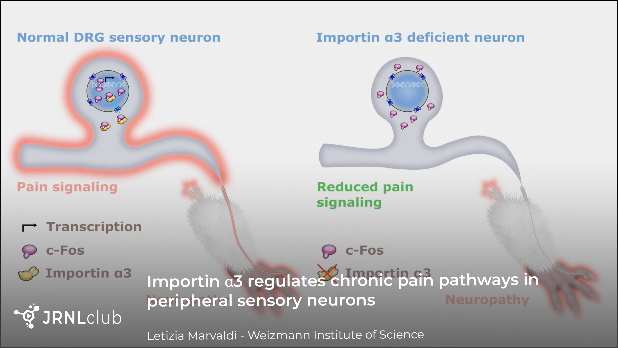Monday, October 26, 2020