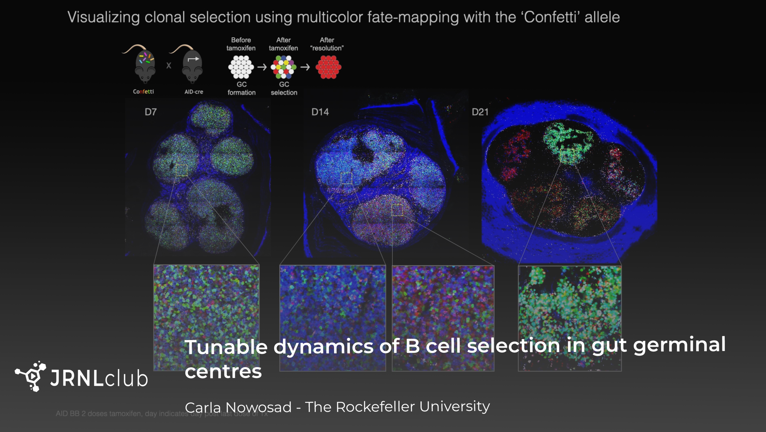 Monday, November 2, 2020