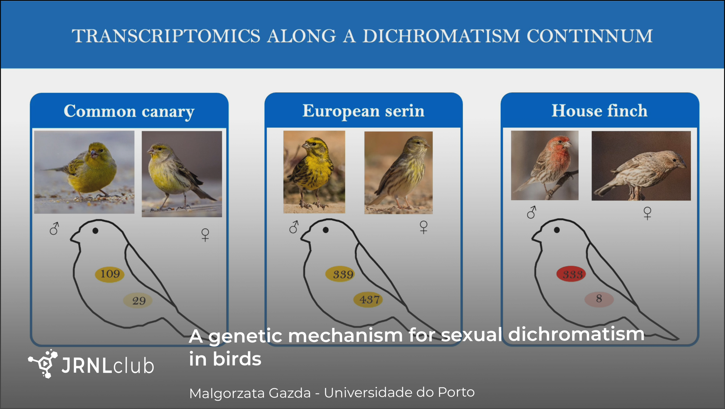 Tuesday, November 10, 2020