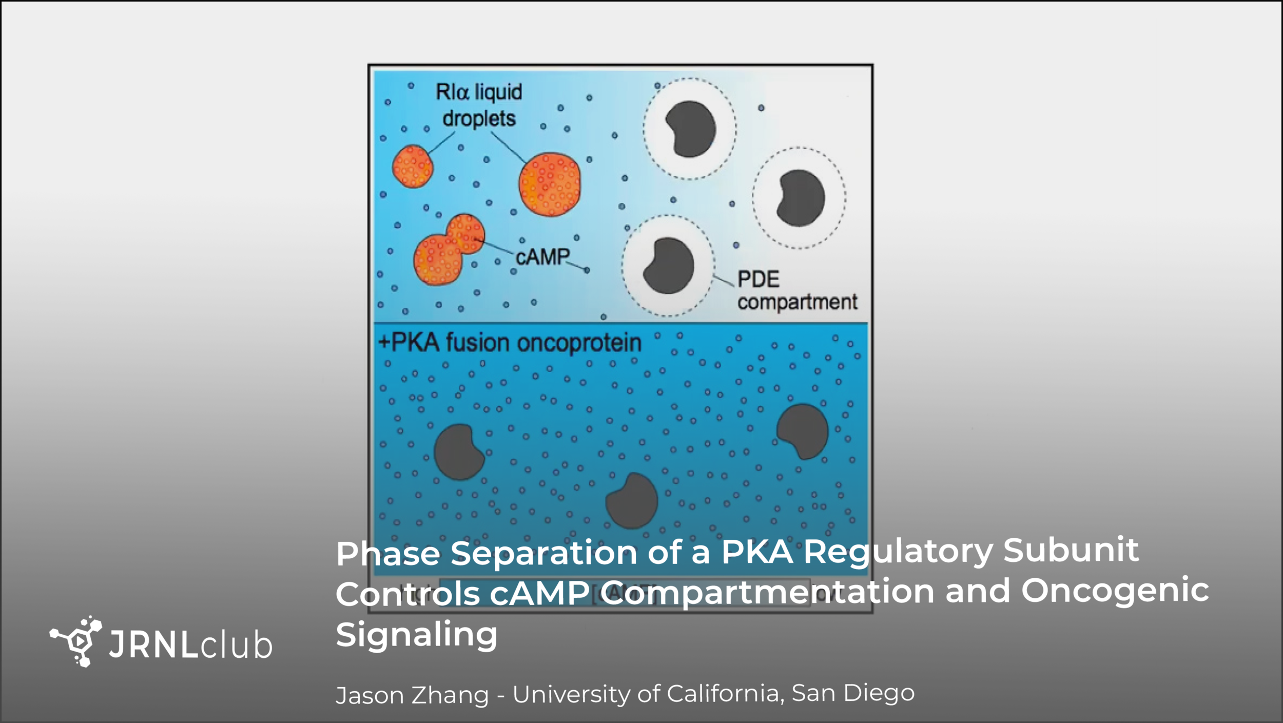 Thursday, November 12, 2020