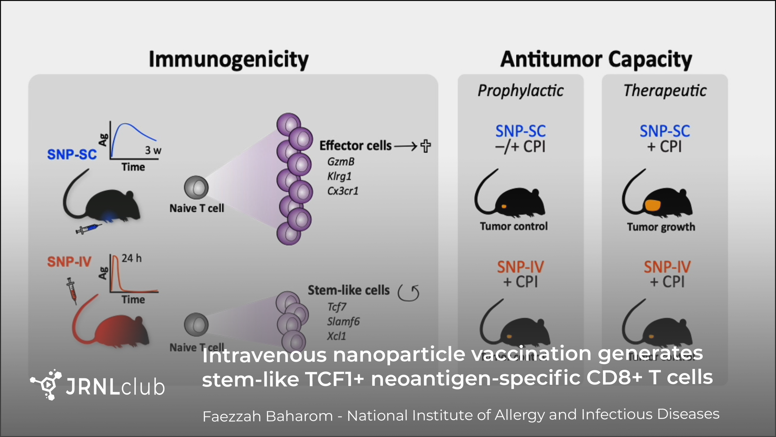 Friday, November 13, 2020