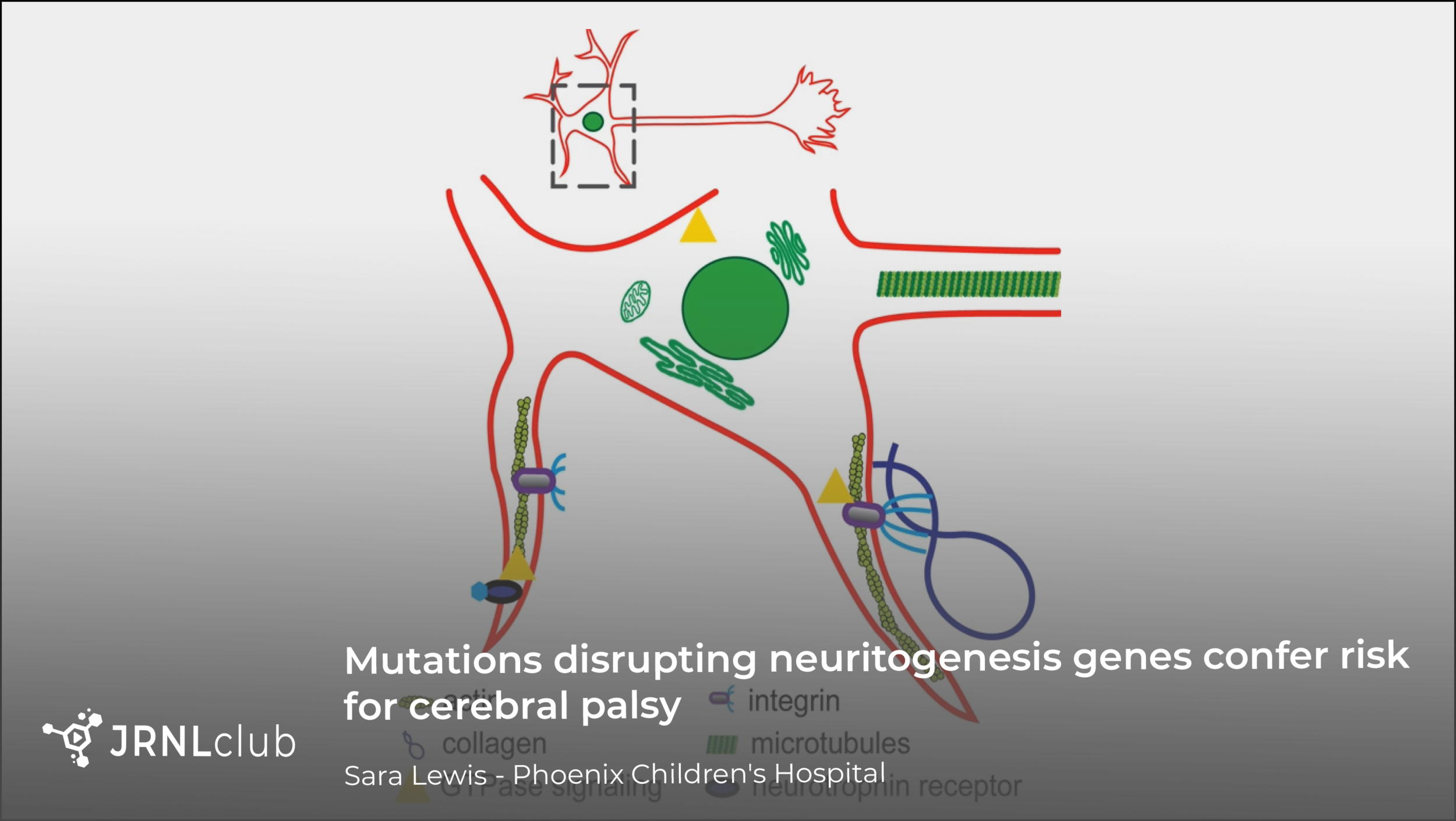 Monday, November 16, 2020