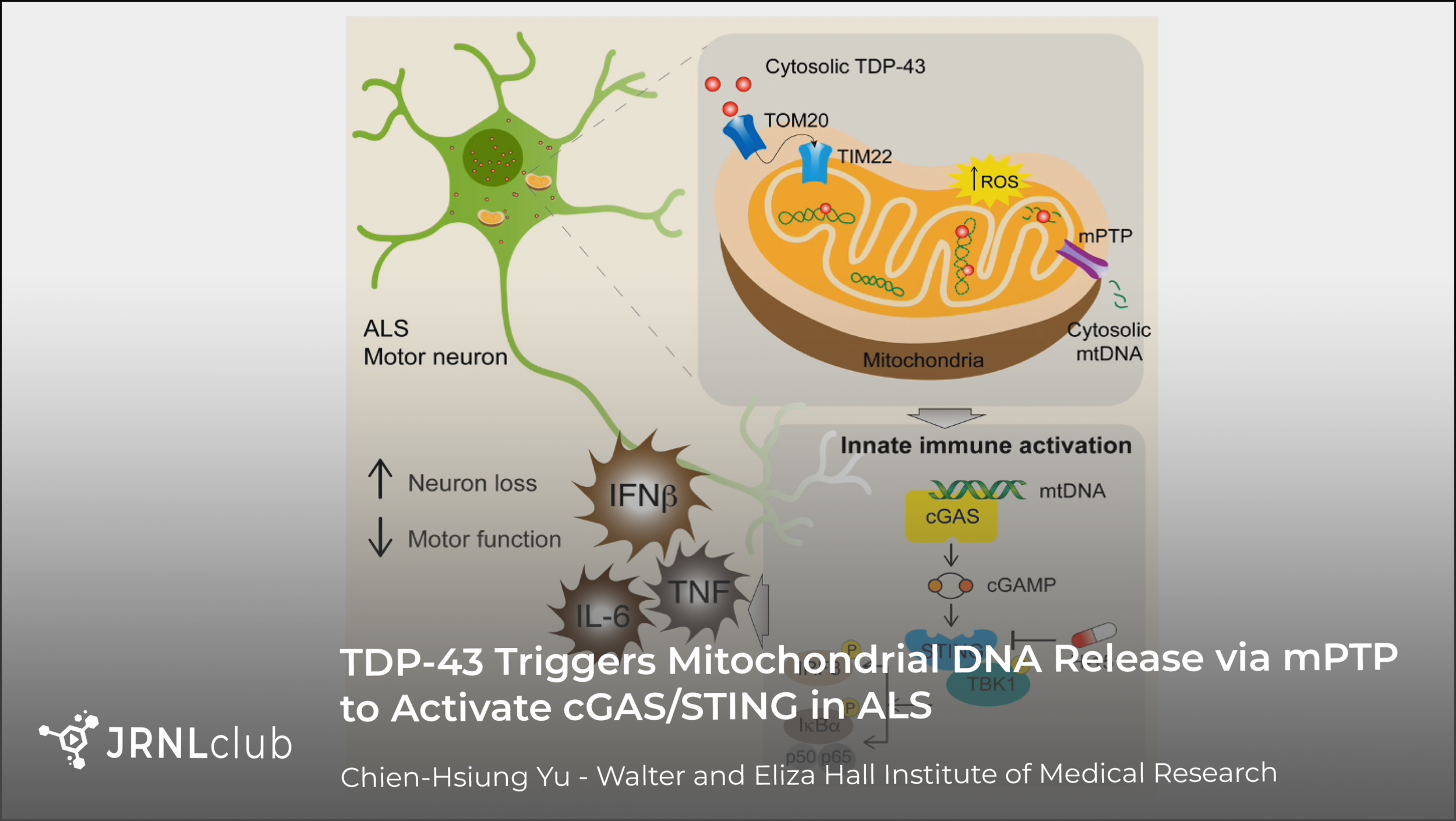 Thursday, November 19, 2020