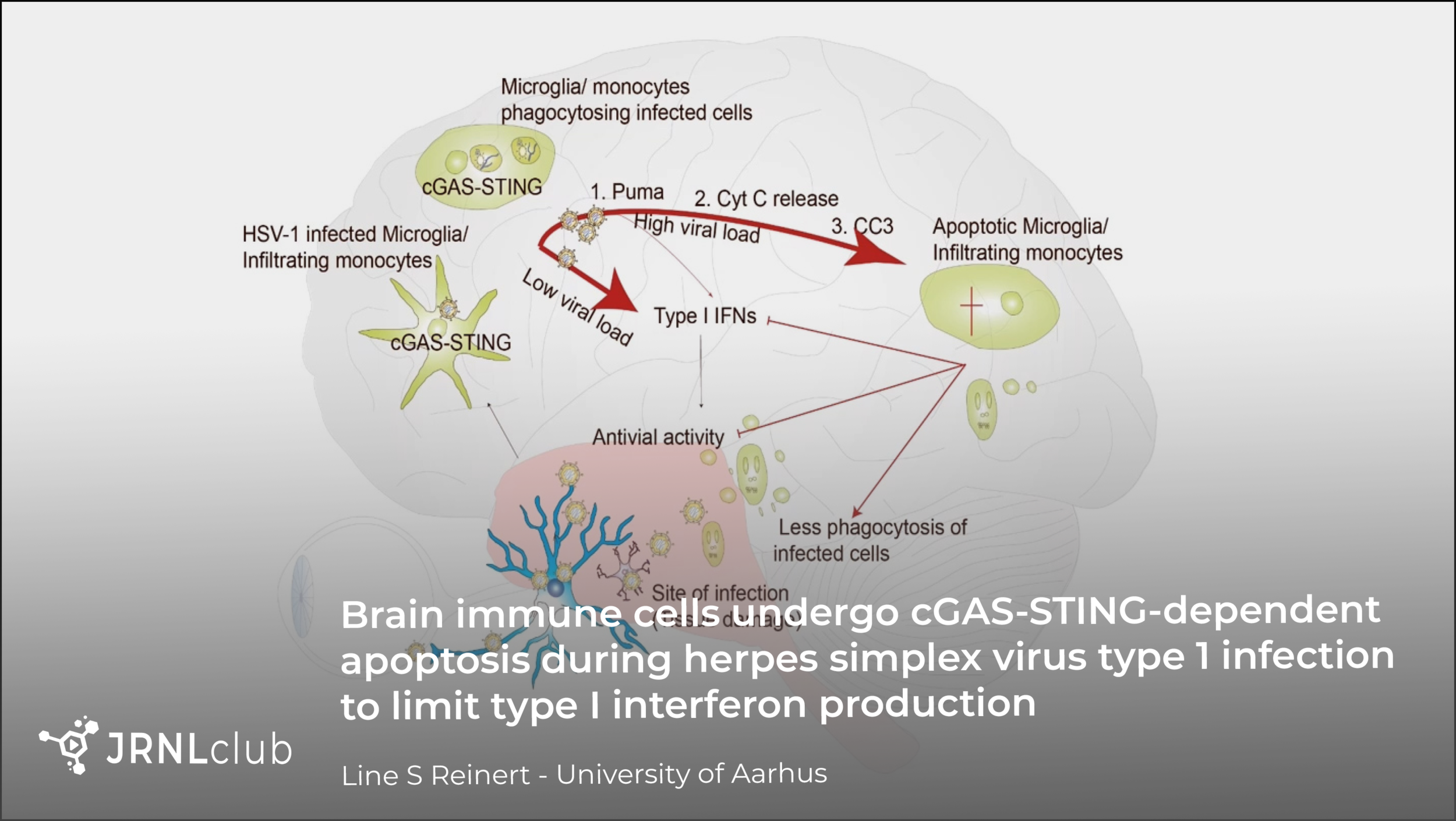 Friday, November 20, 2020