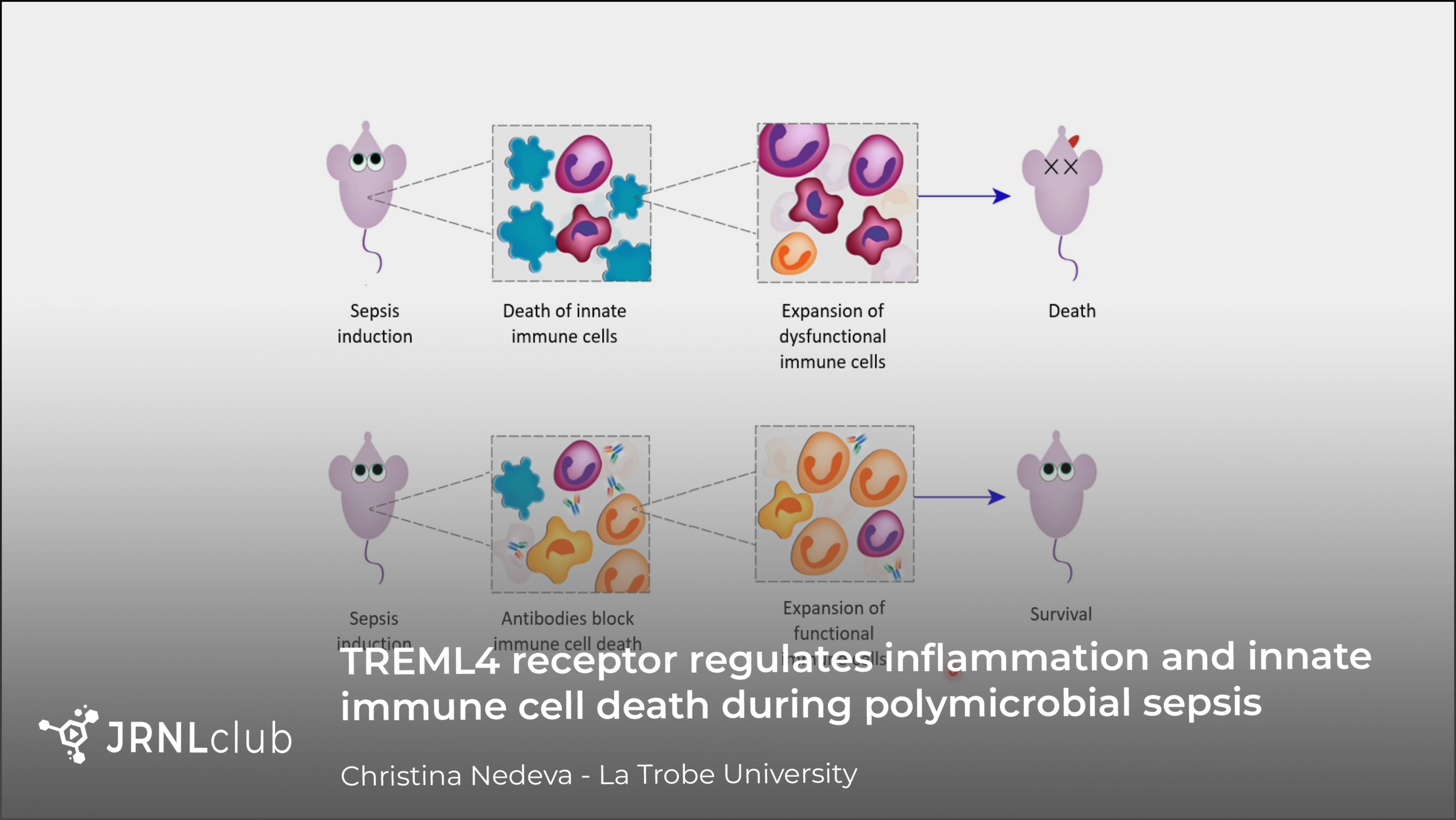 Monday, November 23, 2020
