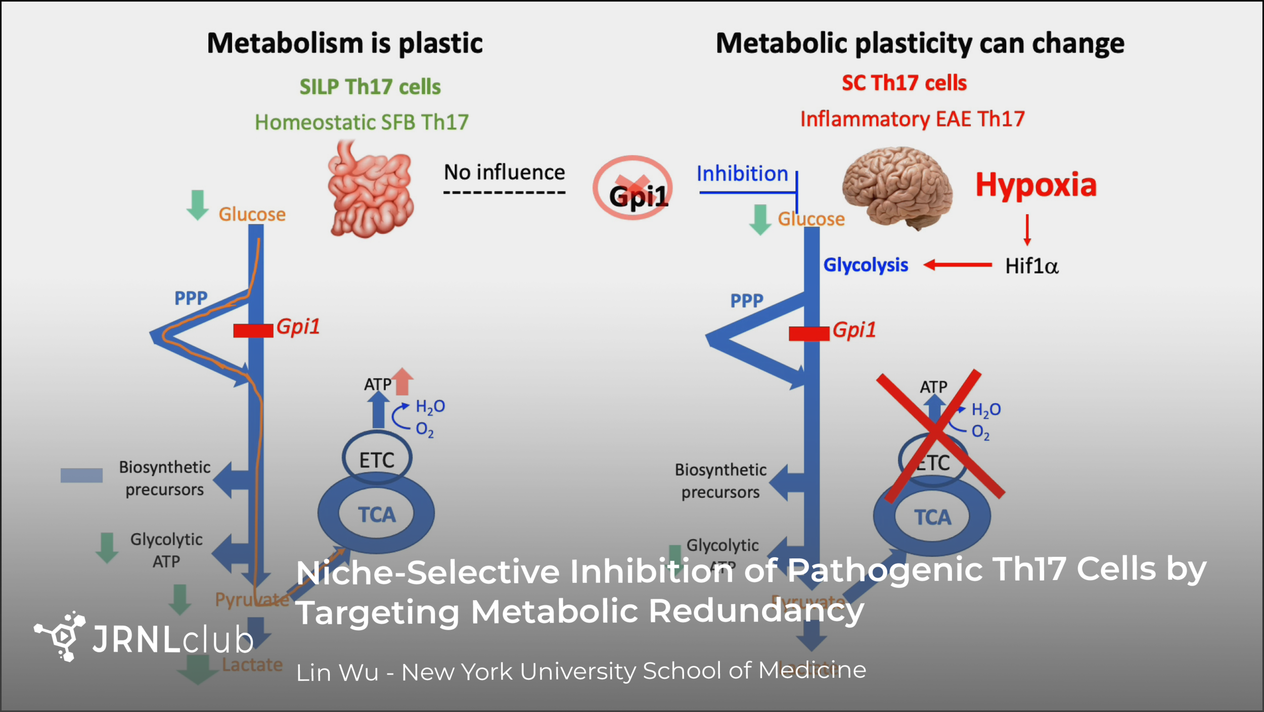 Tuesday, November 24, 2020