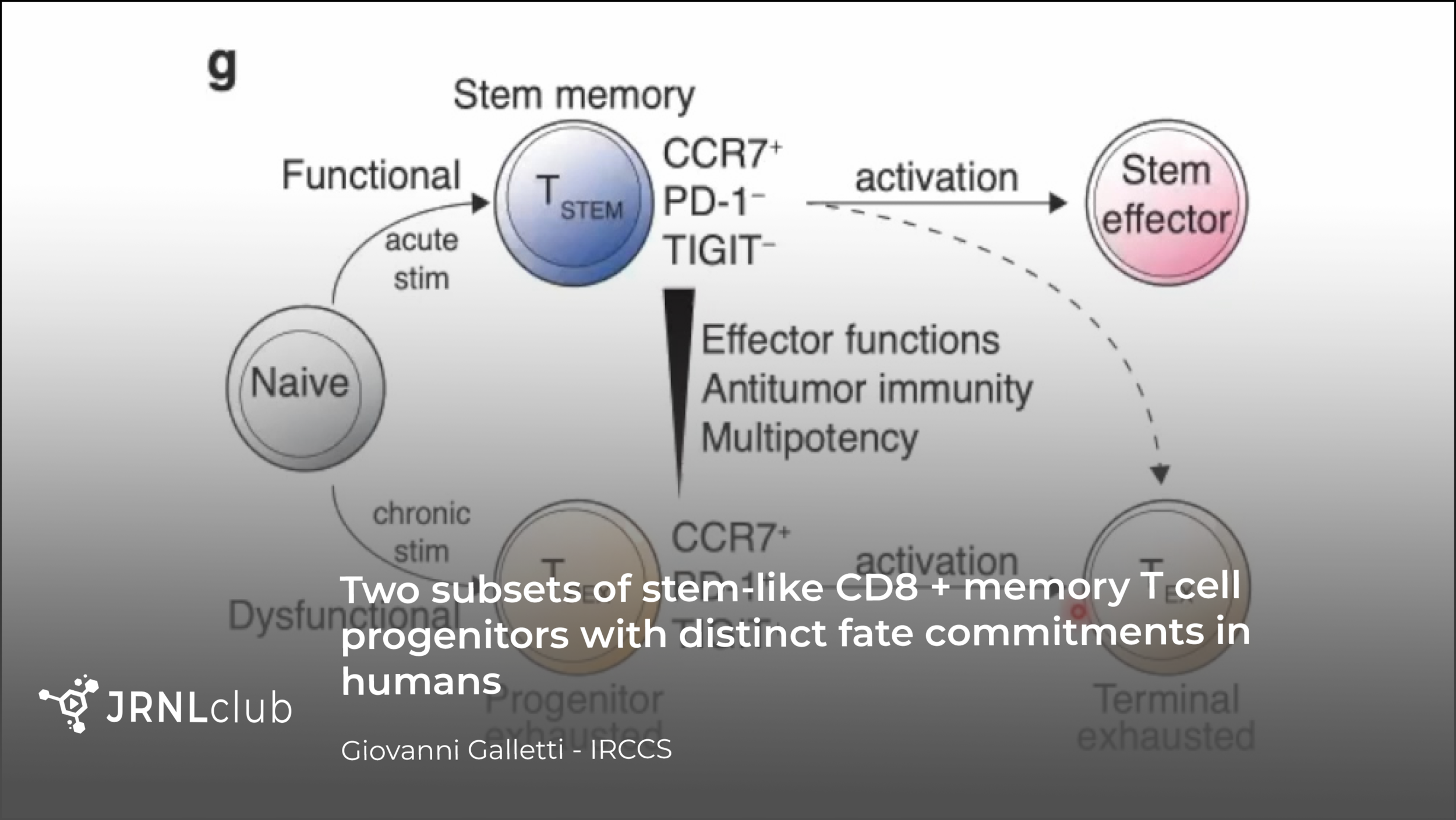Wednesday, November 25, 2020