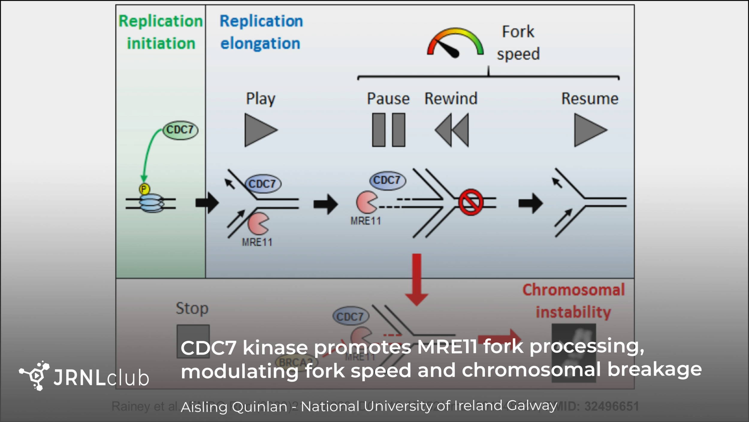 Tuesday, December 1, 2020