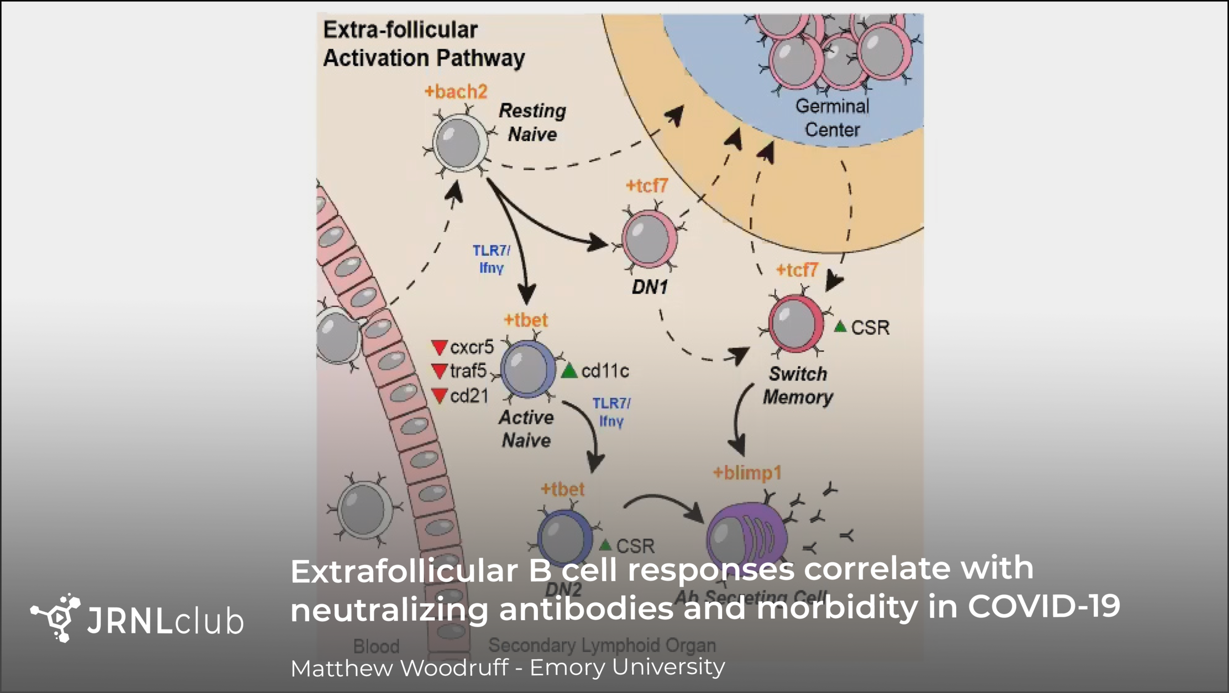 Friday, December 4, 2020